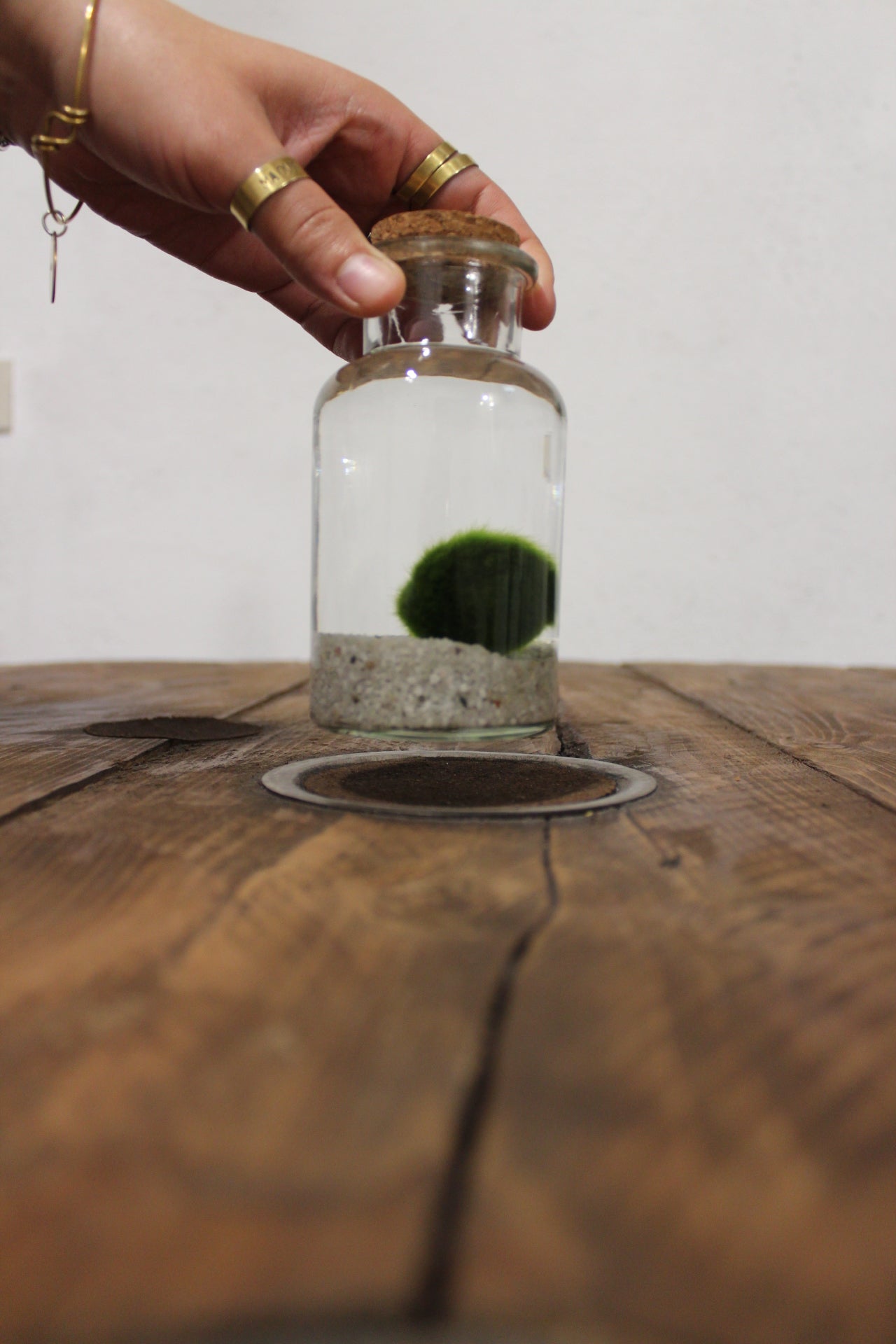 Marimo 250ml sabbia bianca