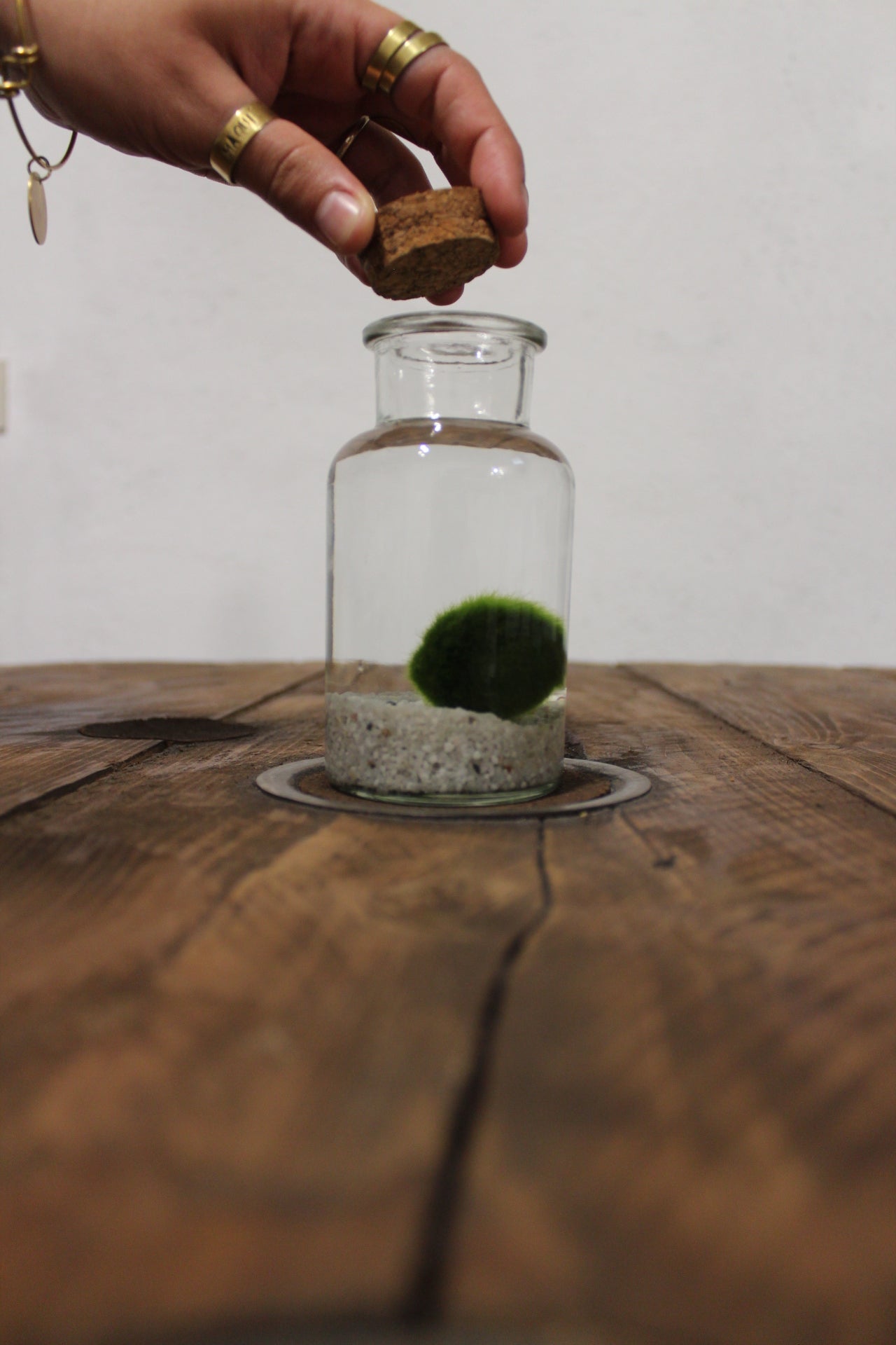 Marimo 250ml sabbia bianca