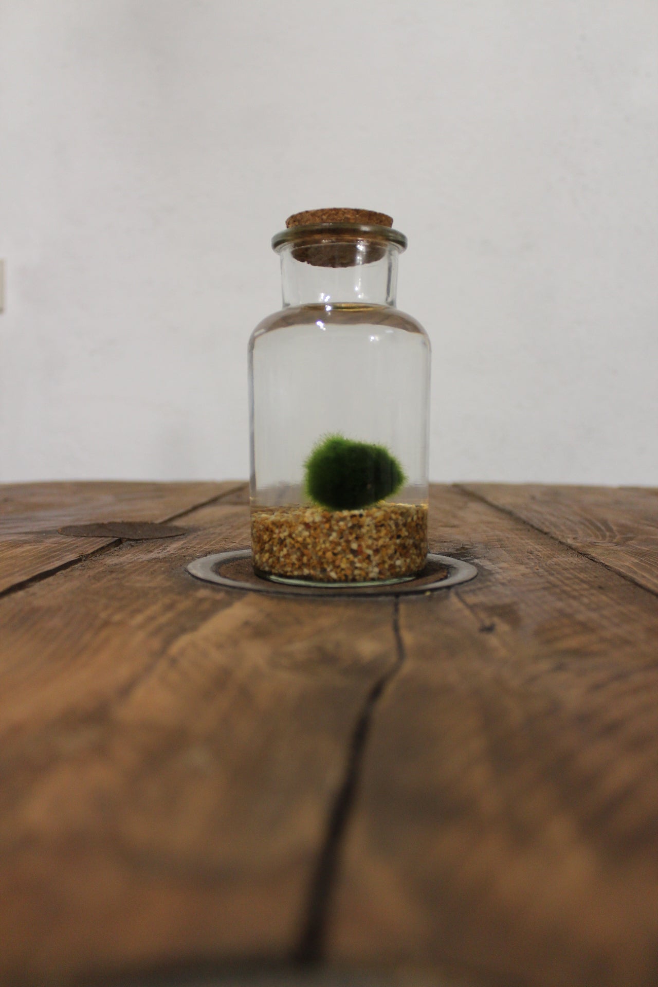 Marimo 250ml sabbia beige