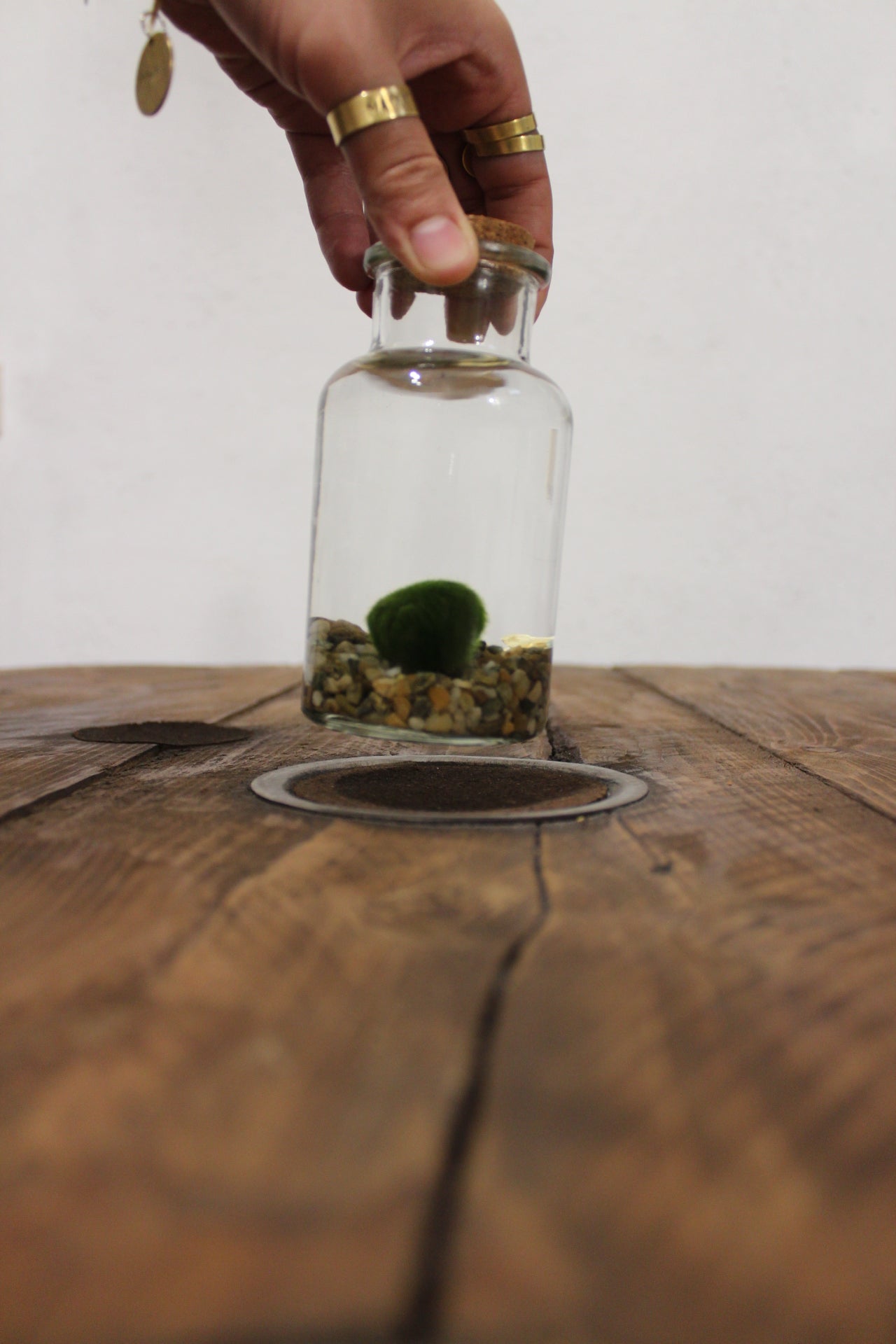 Marimo 250ml sabbia grigia