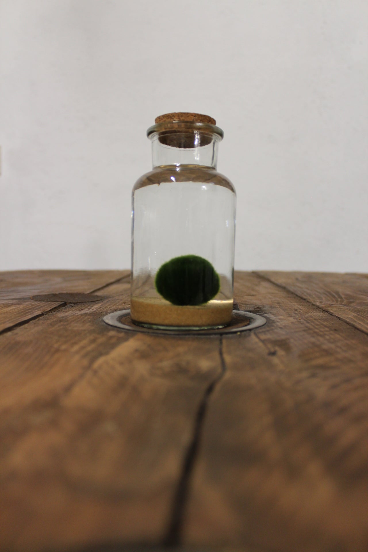 Marimo 250ml sabbia beige finissima