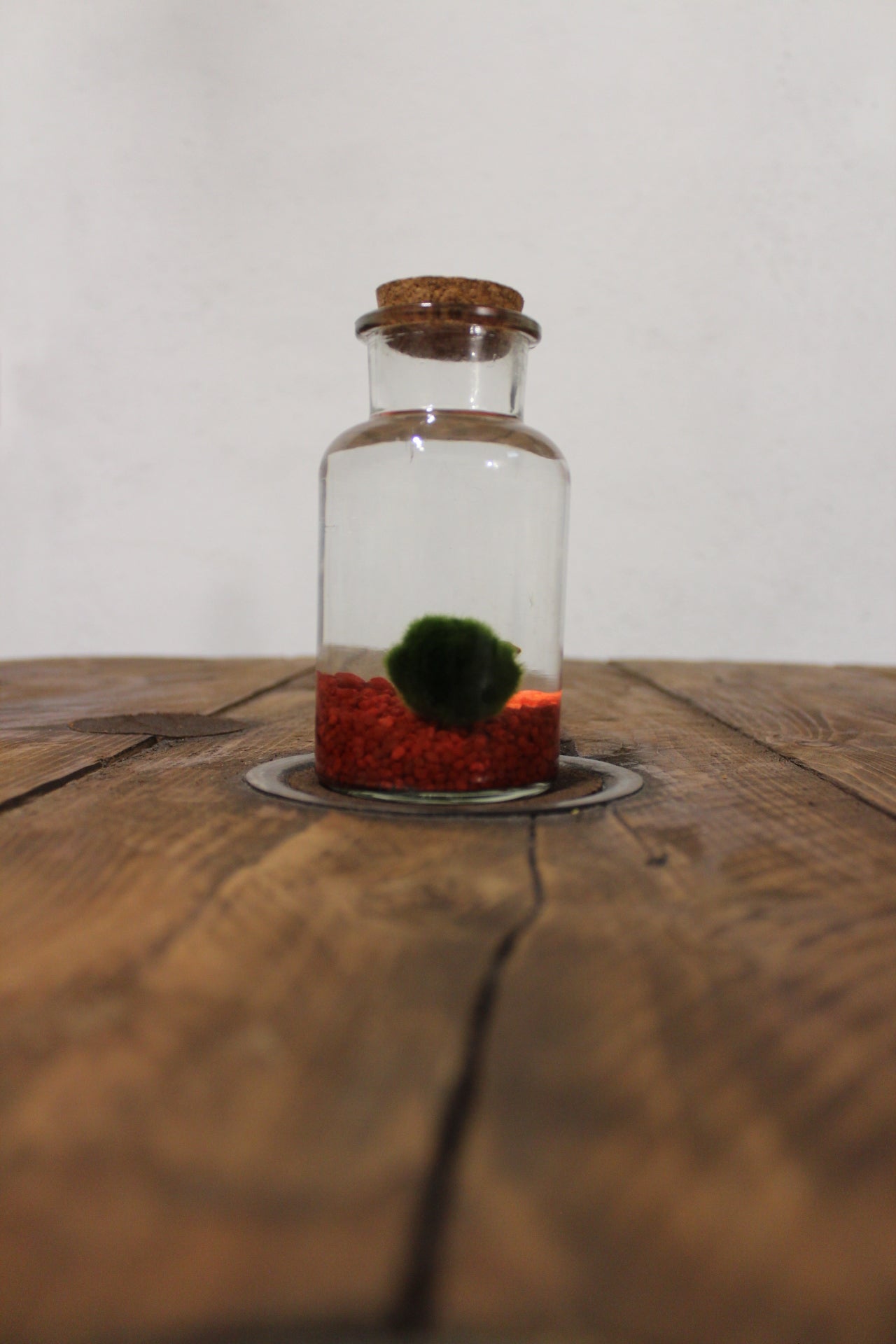 Marimo 250ml sabbia rossa