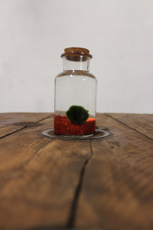 Marimo 250ml sabbia rossa