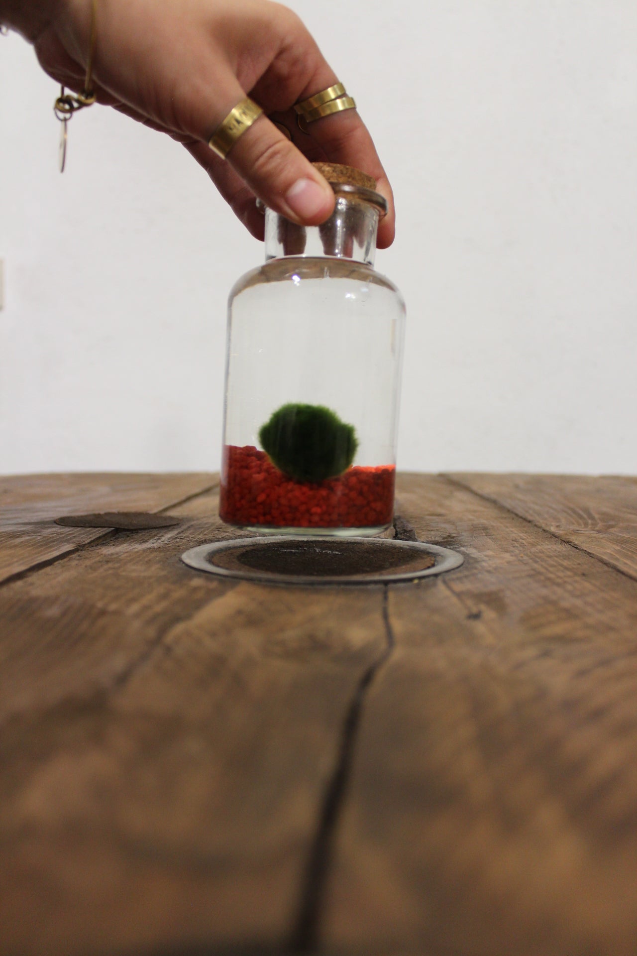 Marimo 250ml sabbia rossa