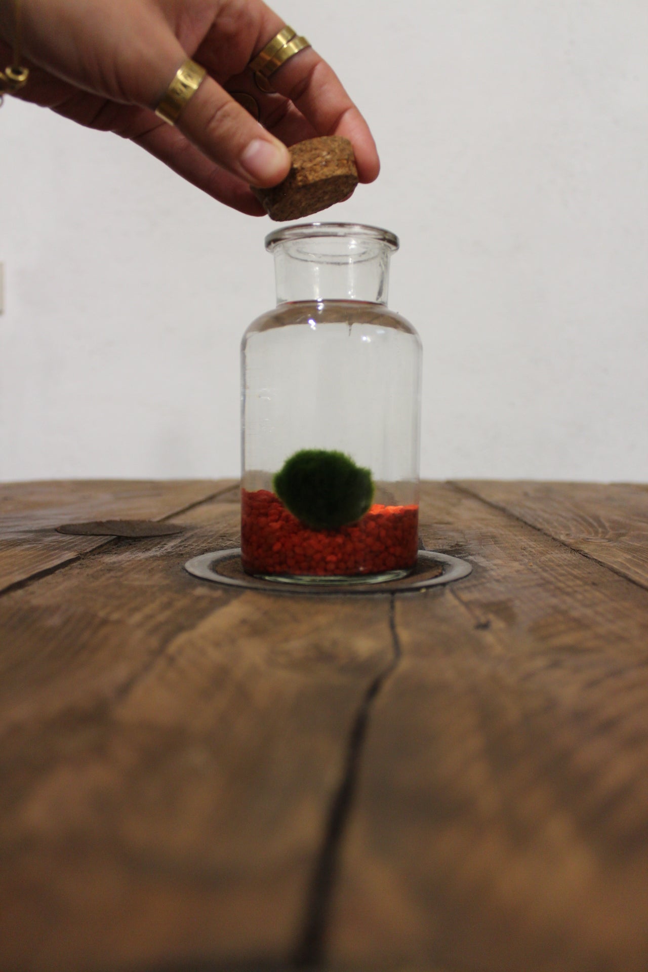 Marimo 250ml sabbia rossa