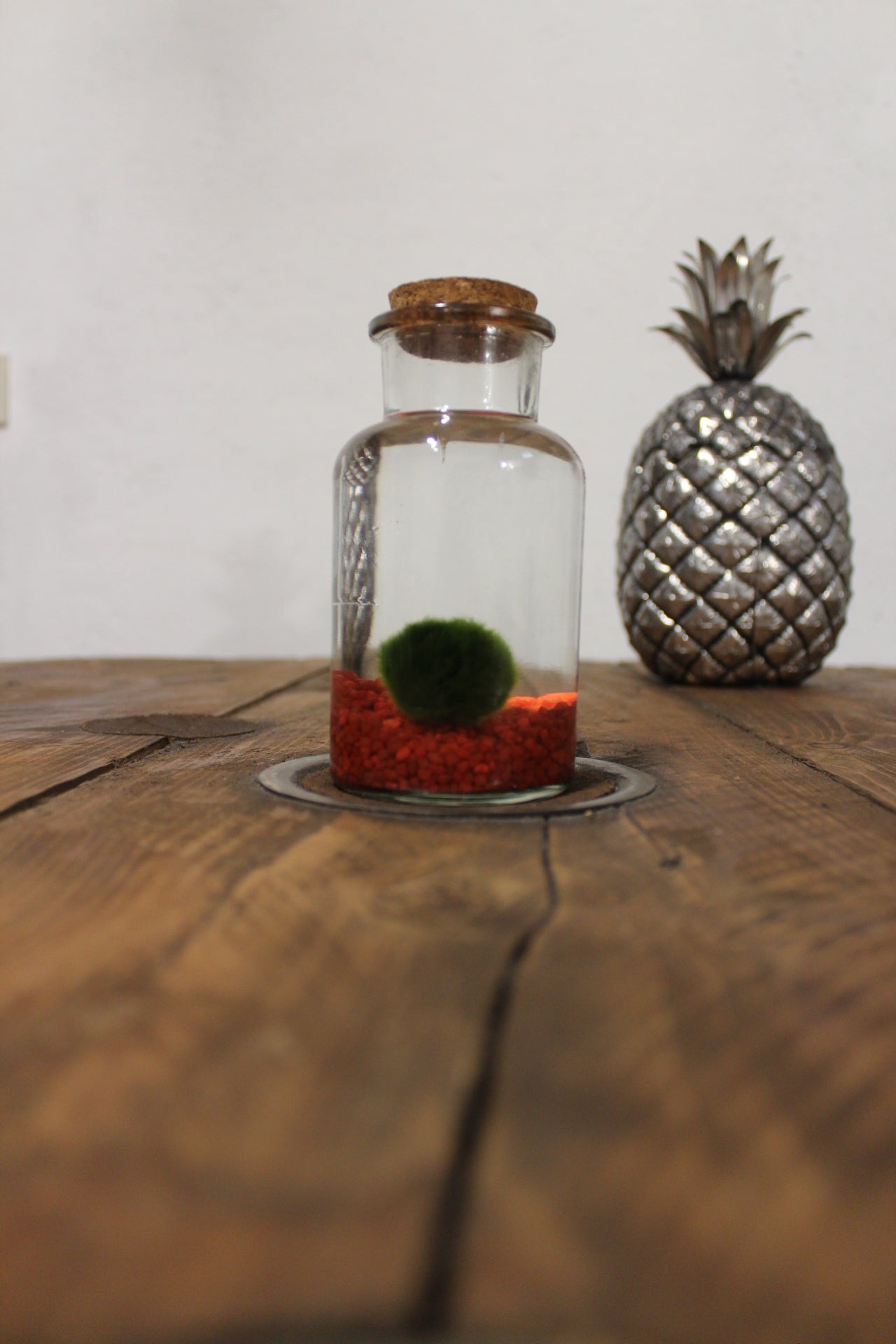 Marimo 250ml sabbia rossa