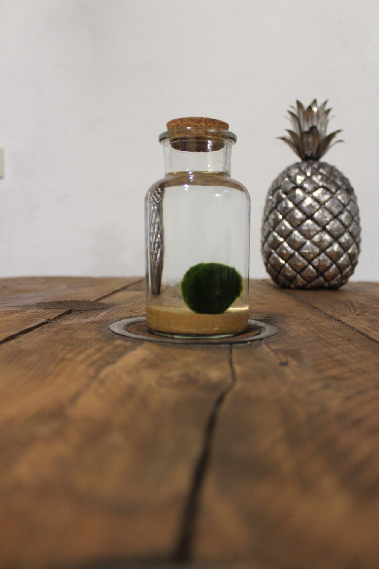 Marimo 250ml sabbia beige finissima