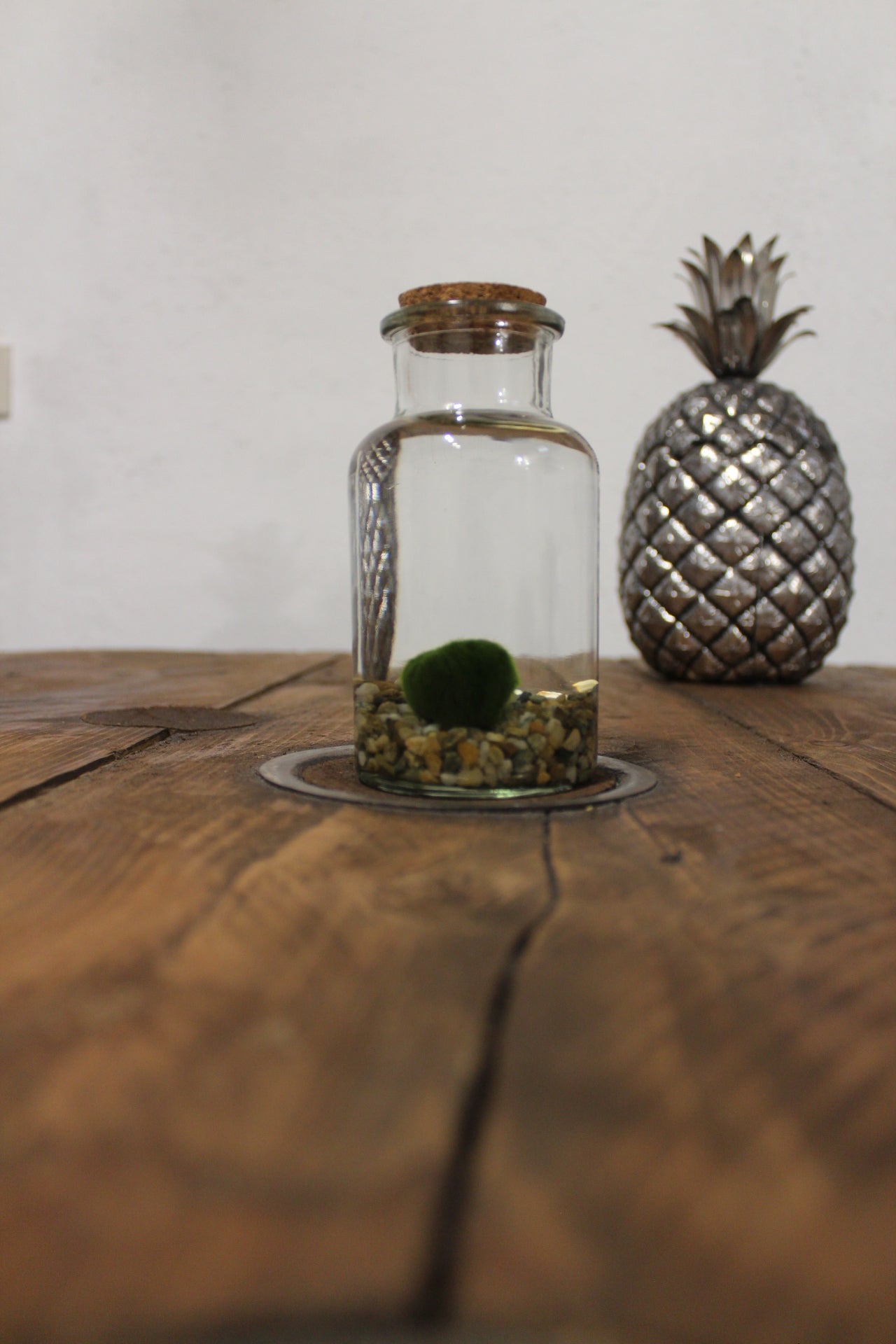 Marimo 250ml sabbia grigia