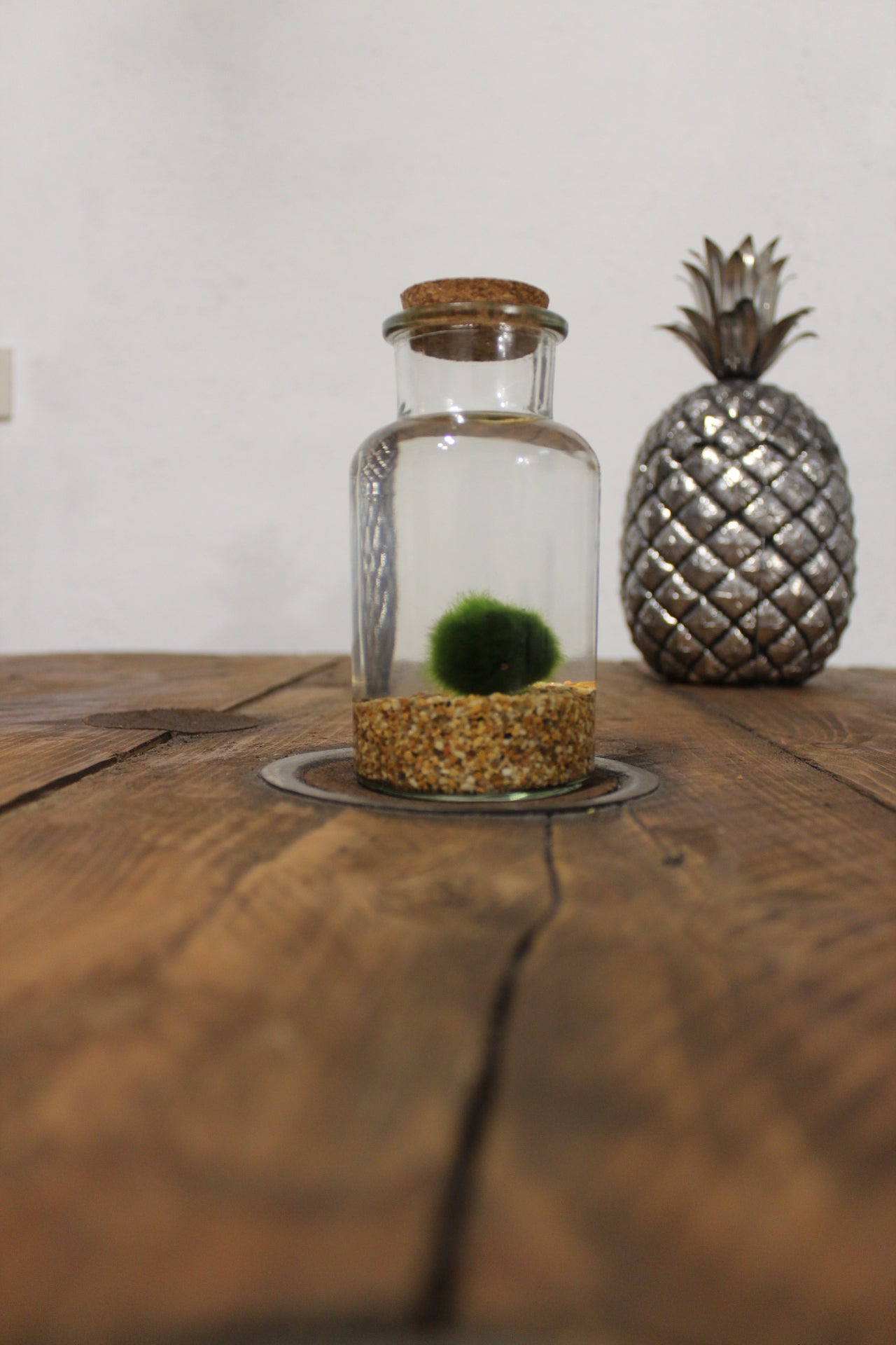 Marimo 250ml sabbia beige