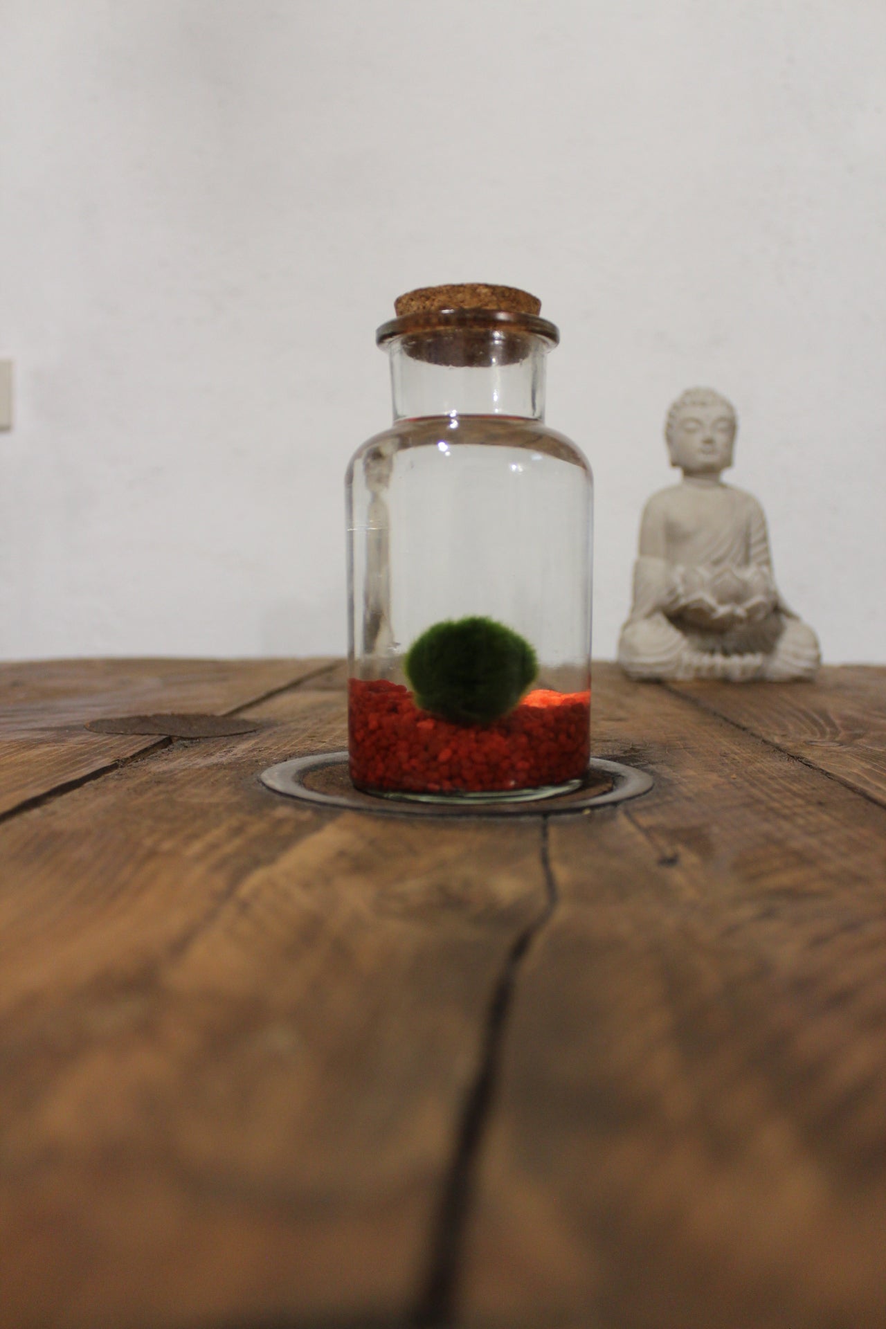 Marimo 250ml sabbia rossa