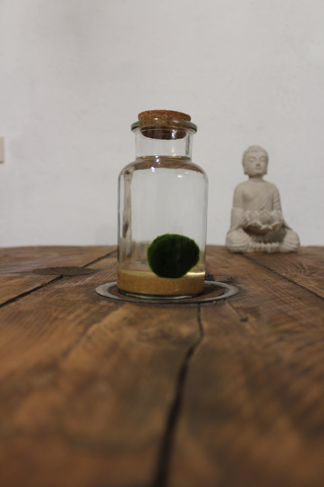 Marimo 250ml sabbia beige finissima