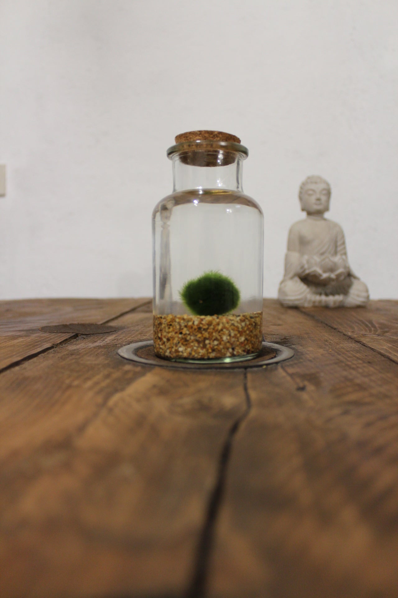 Marimo 250ml sabbia beige