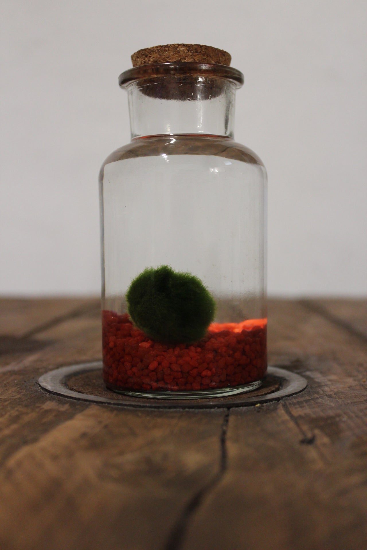 Marimo 250ml sabbia rossa