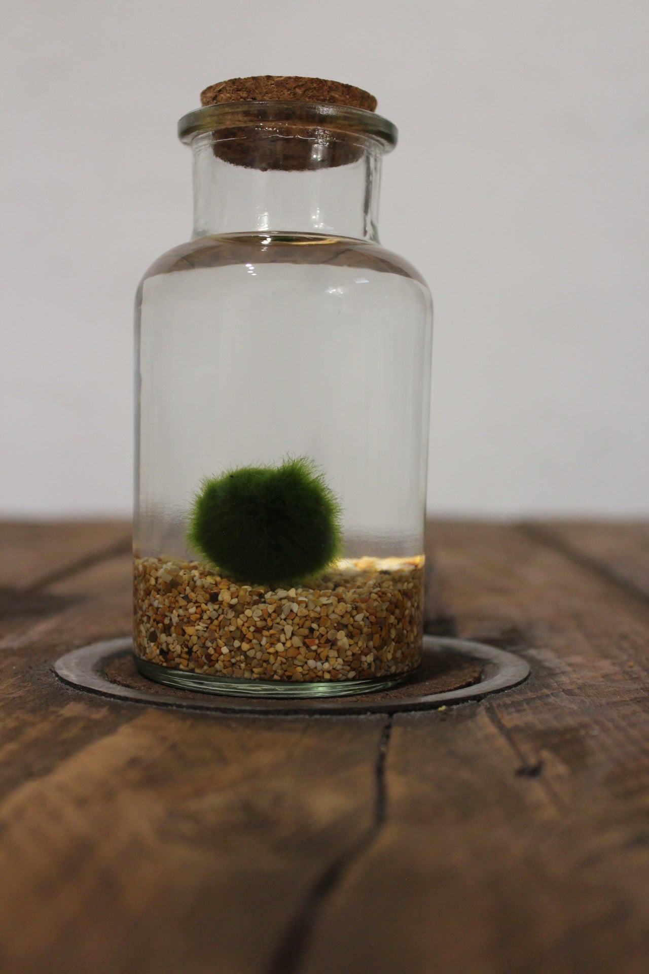 Marimo 250ml sabbia beige