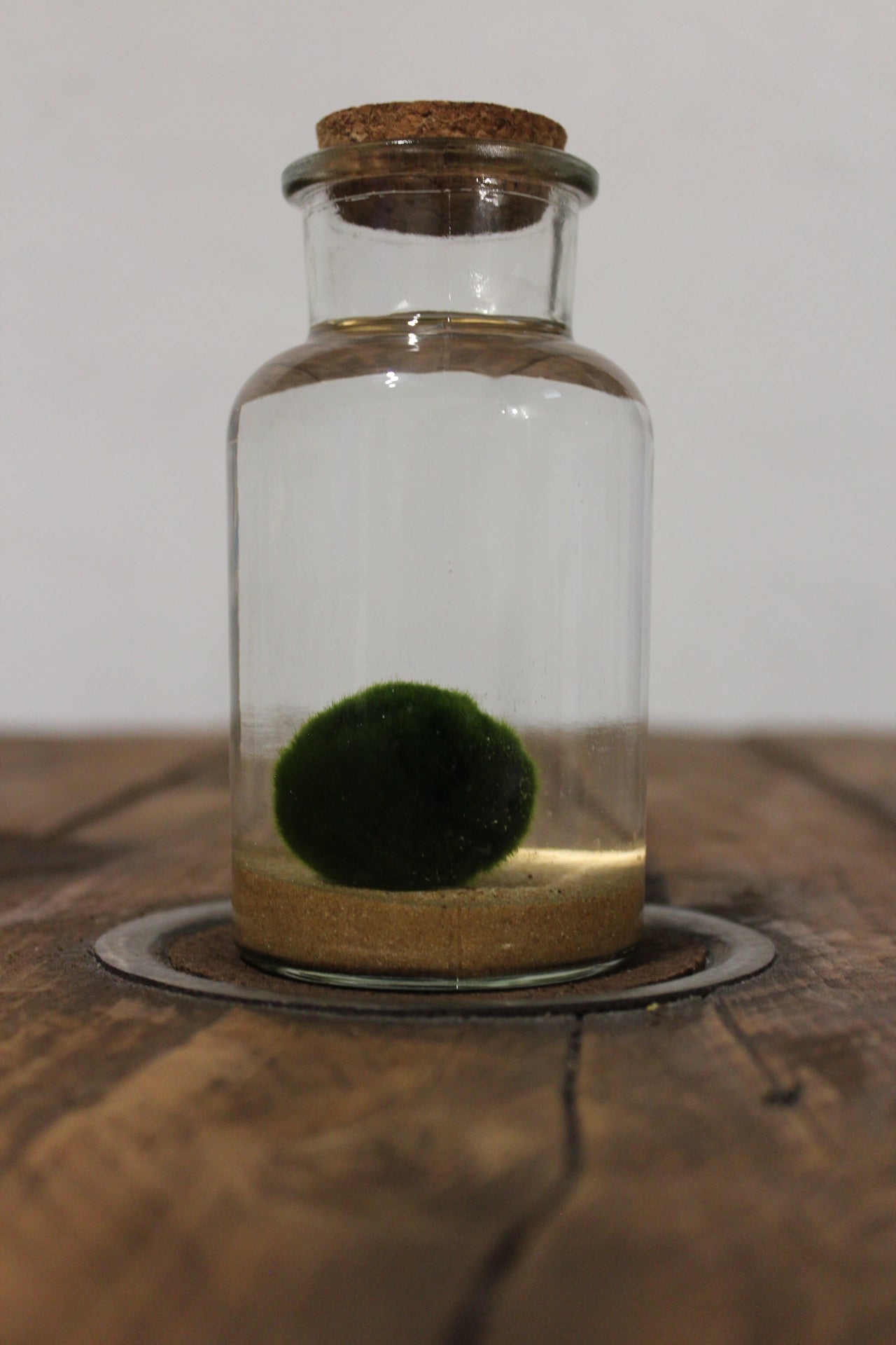 Marimo 250ml sabbia beige finissima