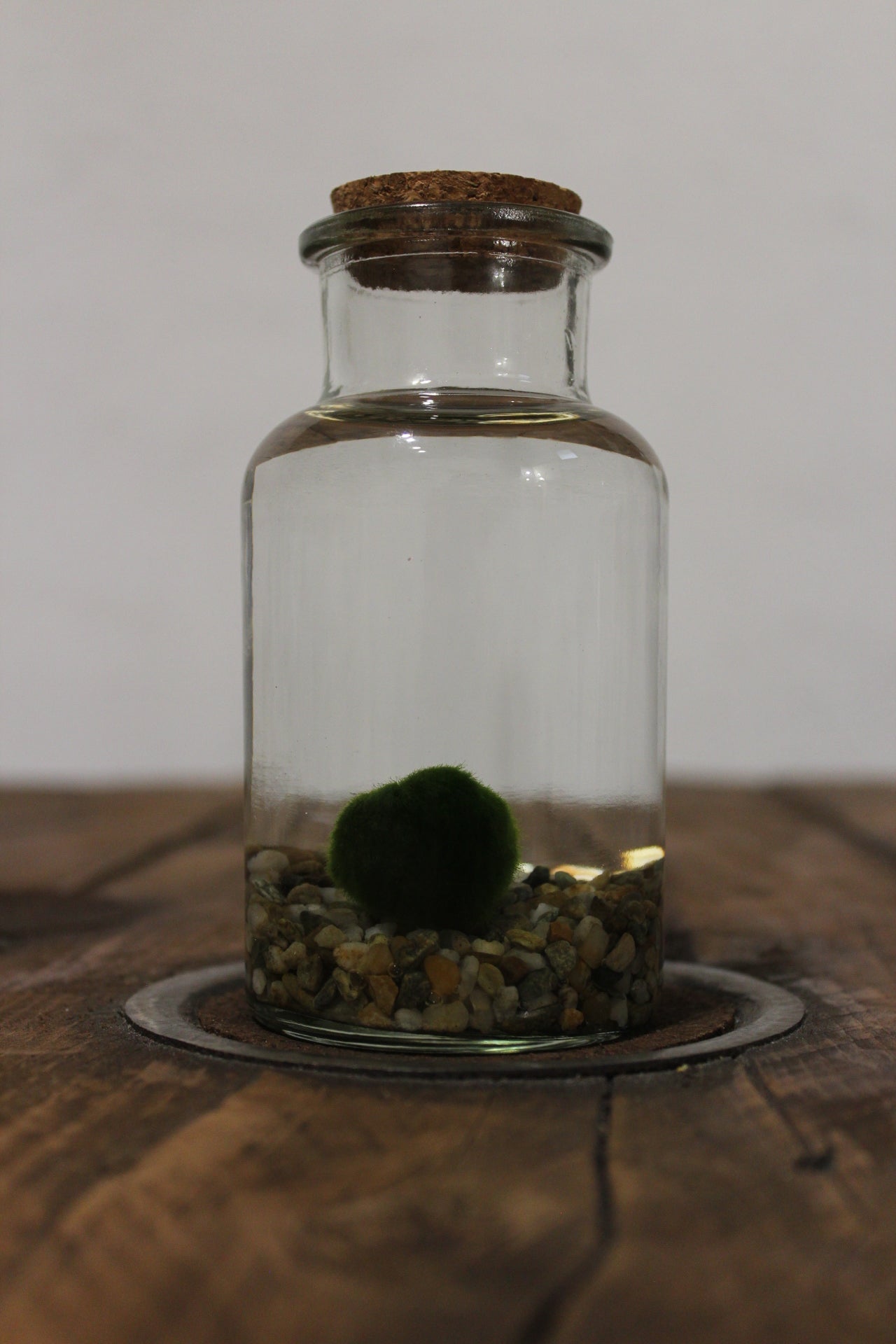 Marimo 250ml sabbia grigia