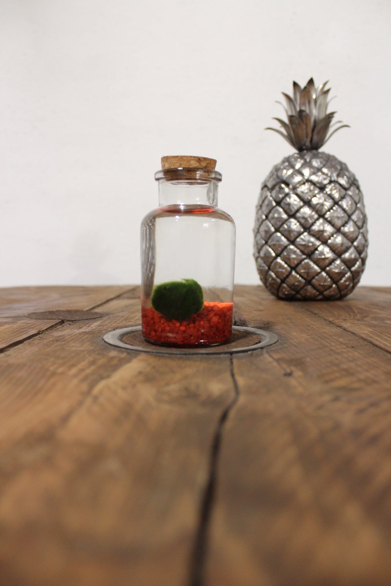 Marimo 150ml sabbia rossa