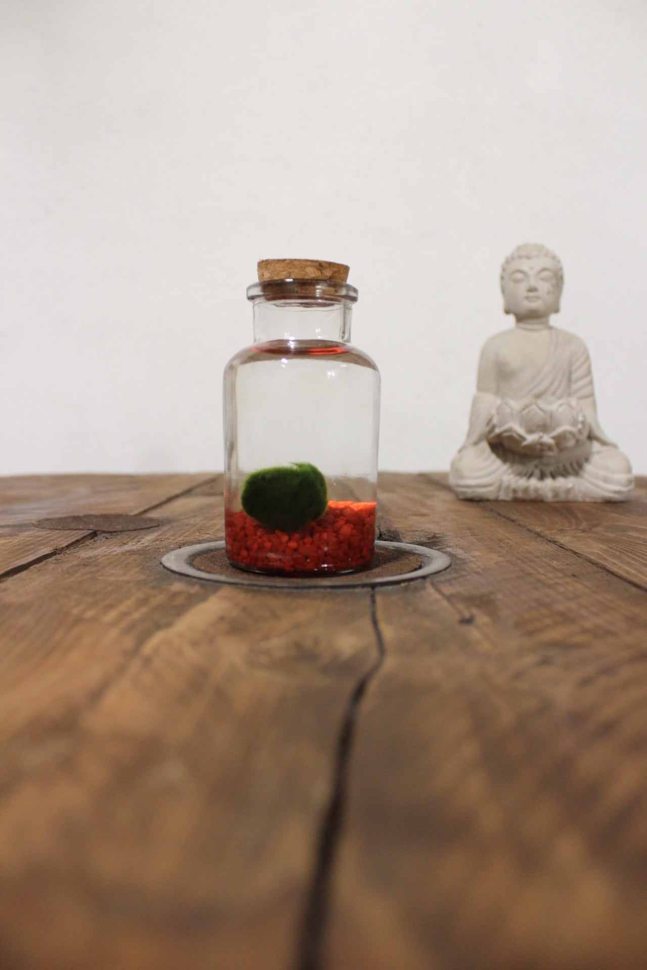 Marimo 150ml sabbia rossa