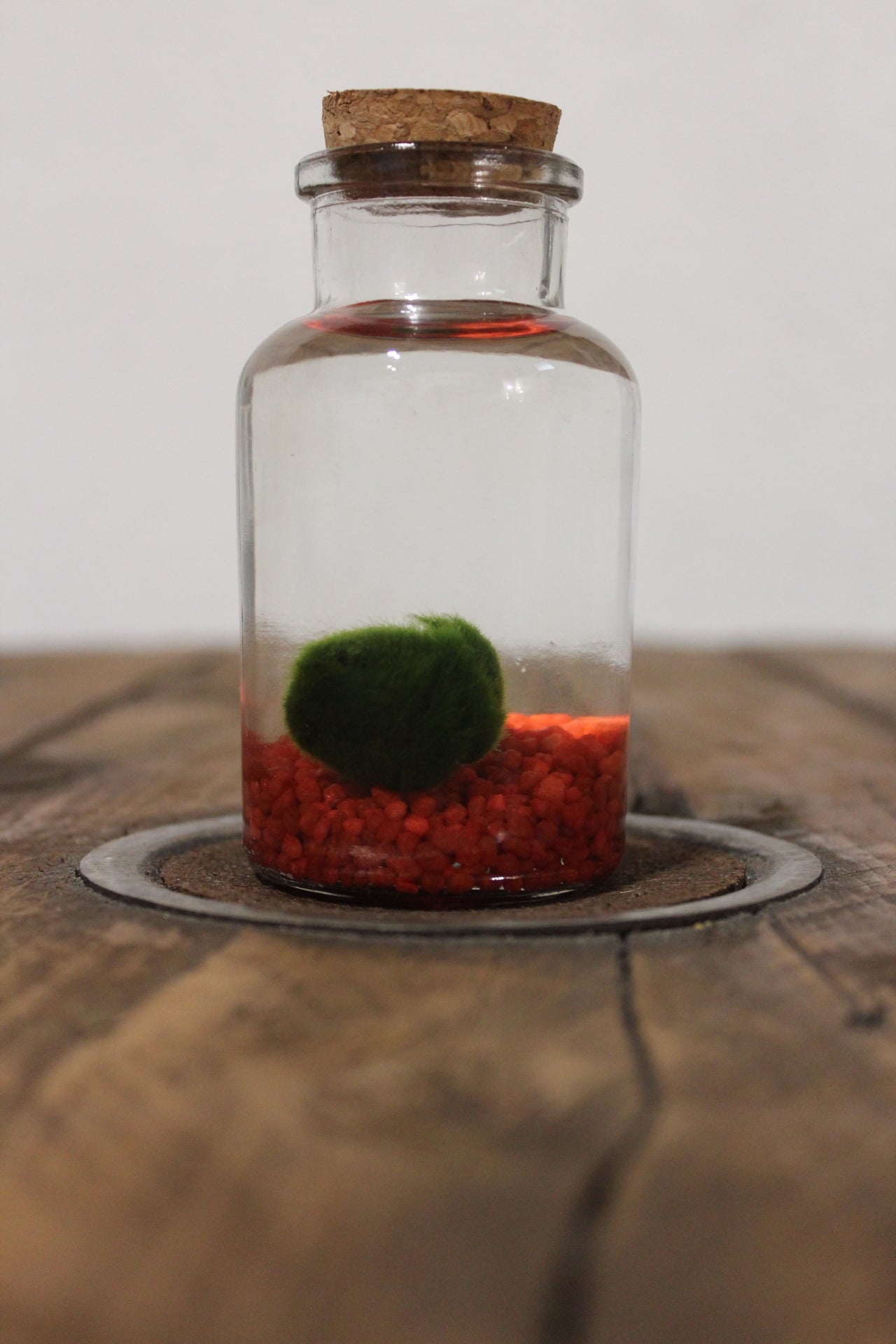 Marimo 150ml sabbia rossa