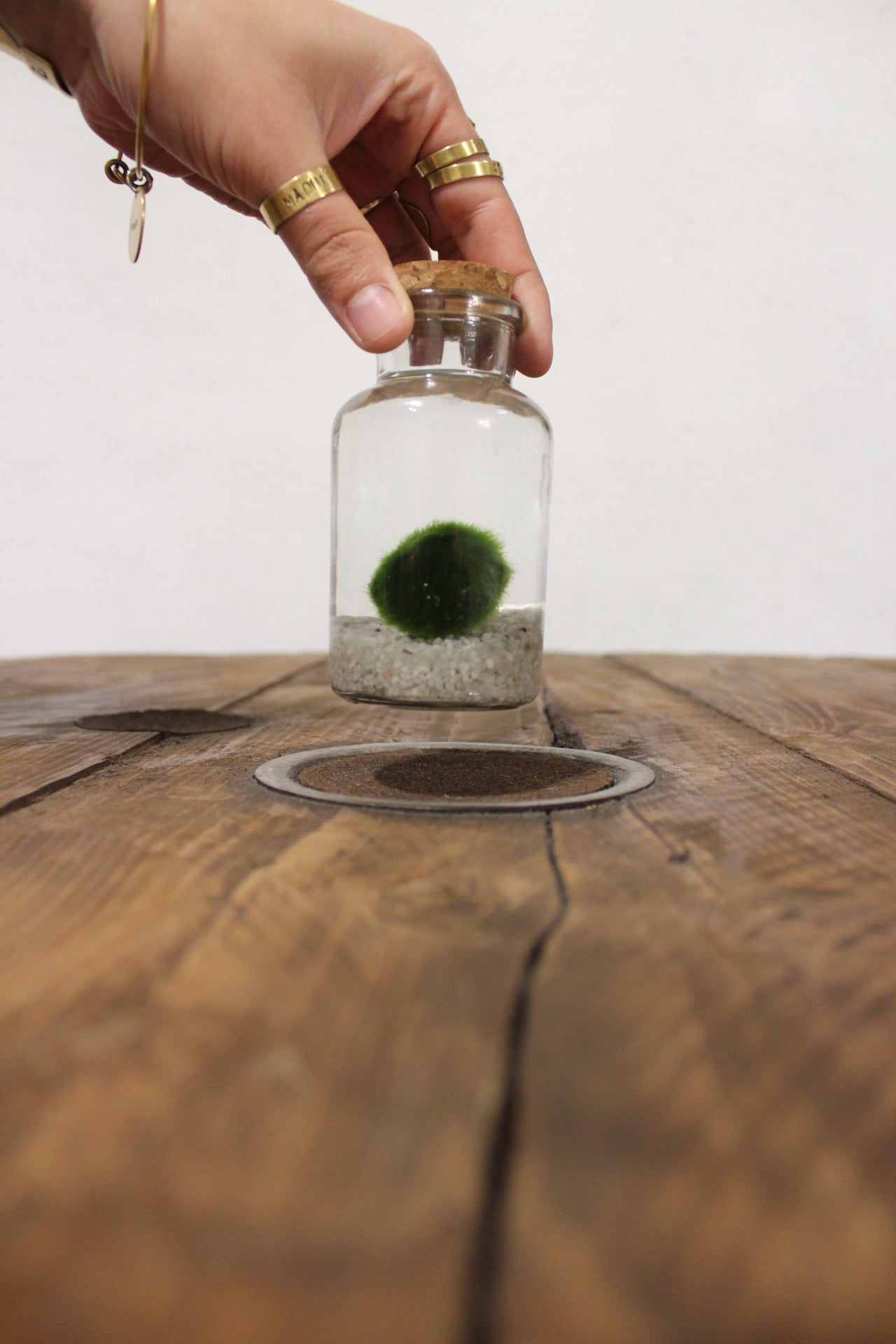 Marimo 150ml sabbia bianca