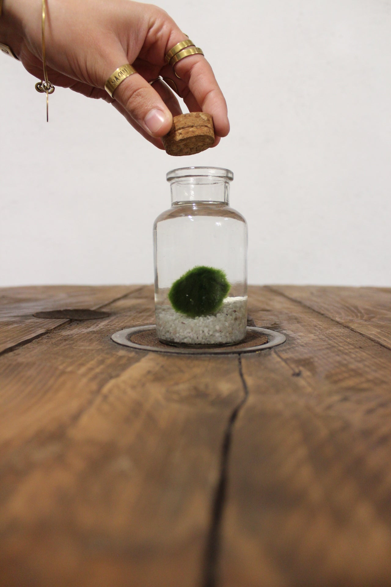 Marimo 150ml sabbia bianca