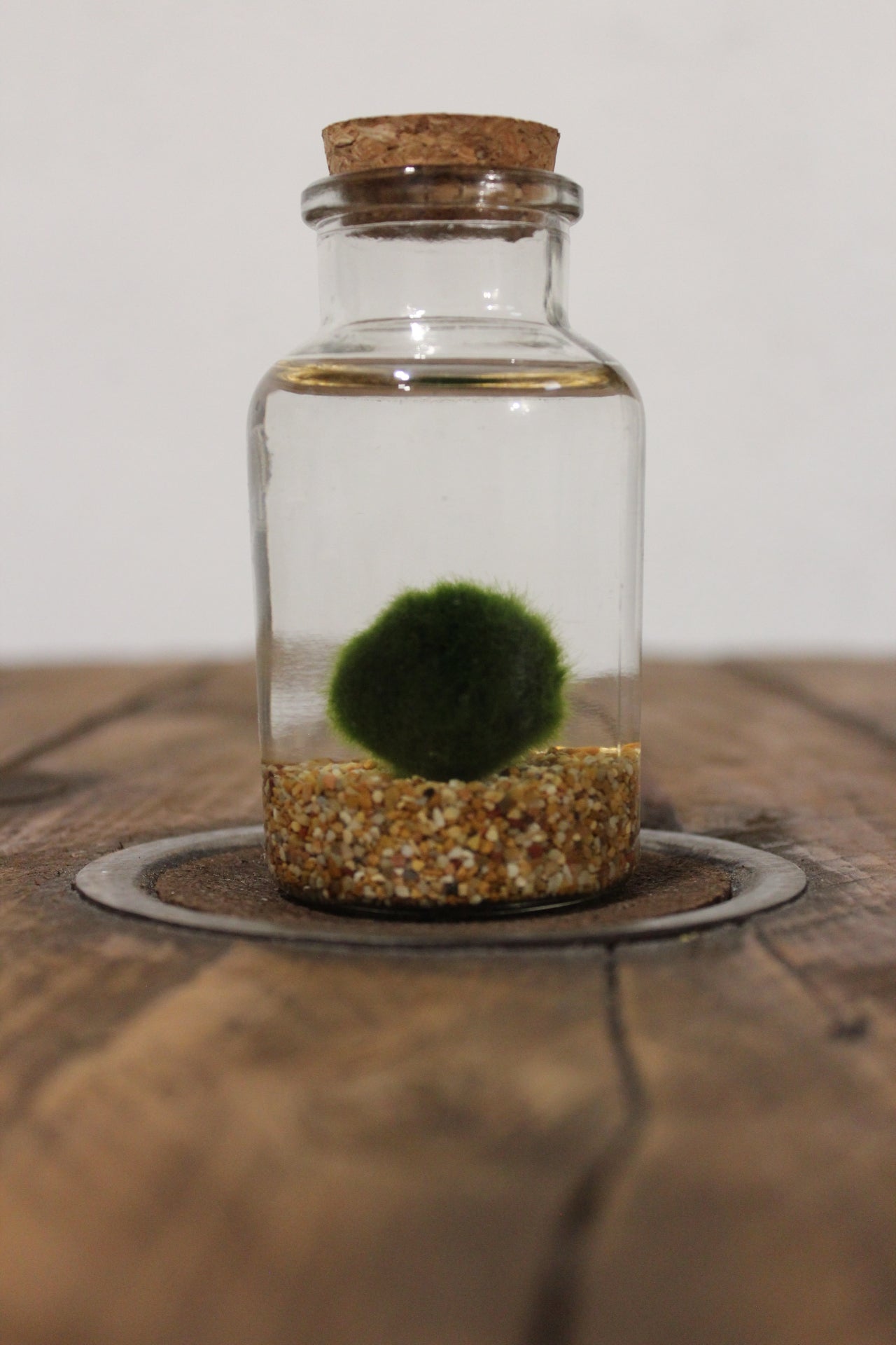 Marimo 150ml sabbia beige