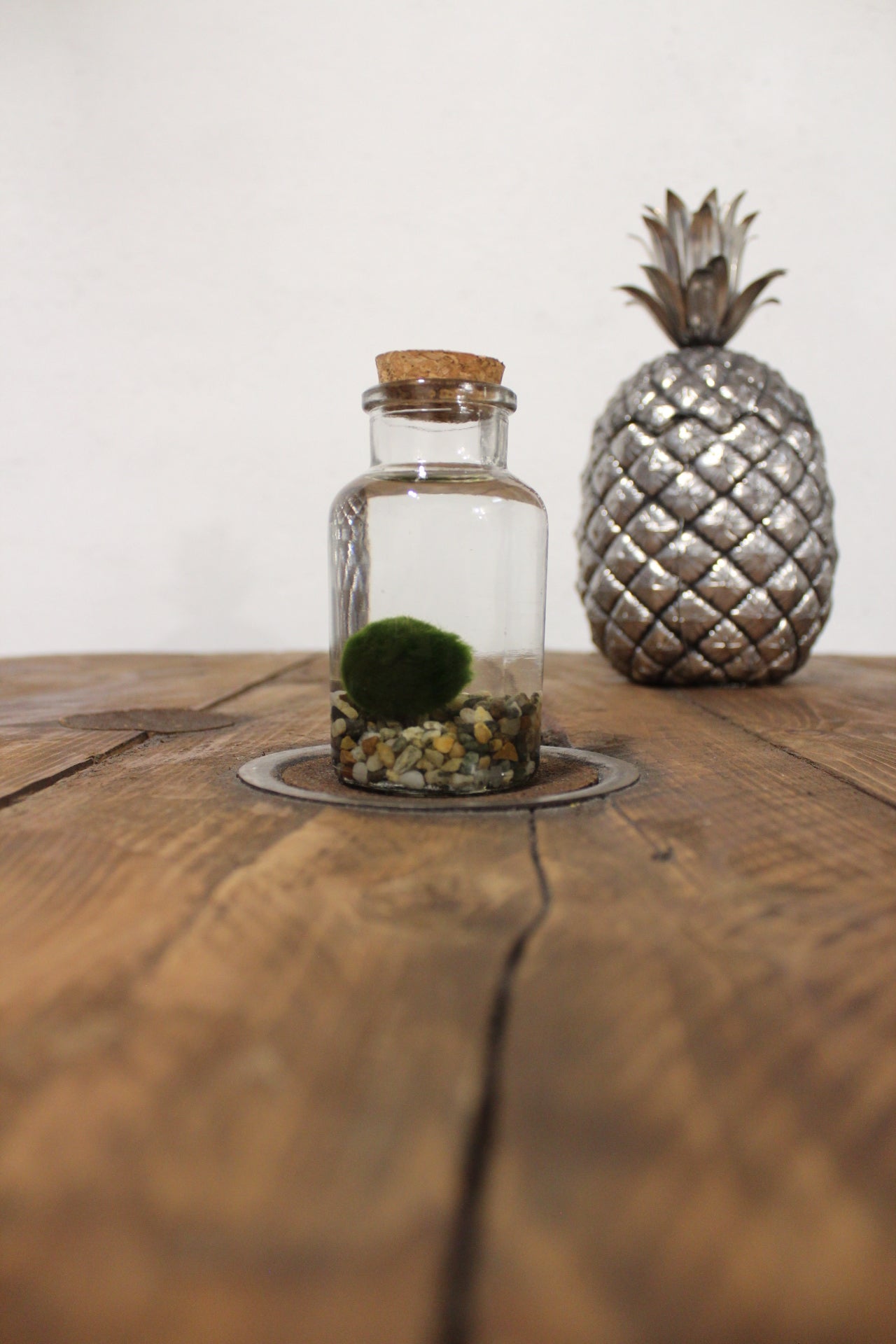 Marimo 150ml sabbia grigia