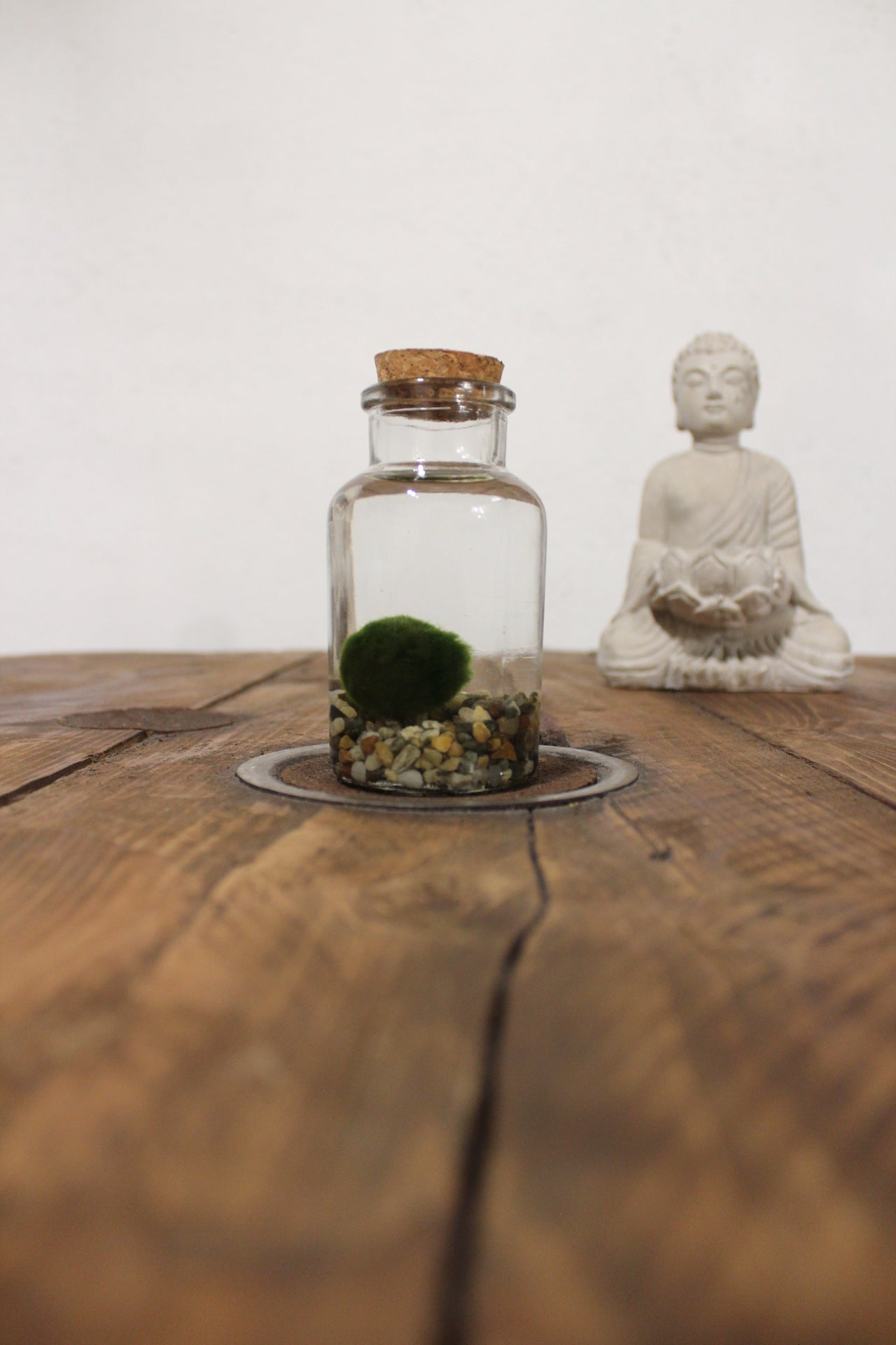 Marimo 150ml sabbia grigia