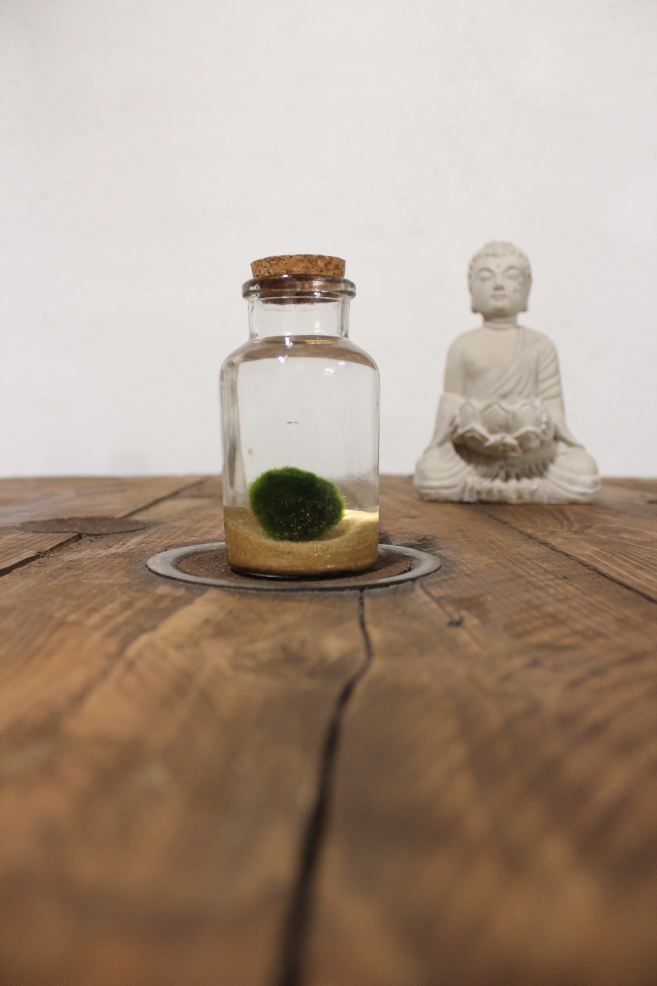 Marimo 150ml sabbia beige finissima