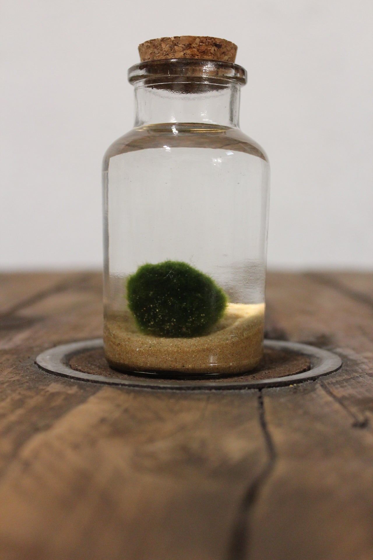 Marimo 150ml sabbia beige finissima