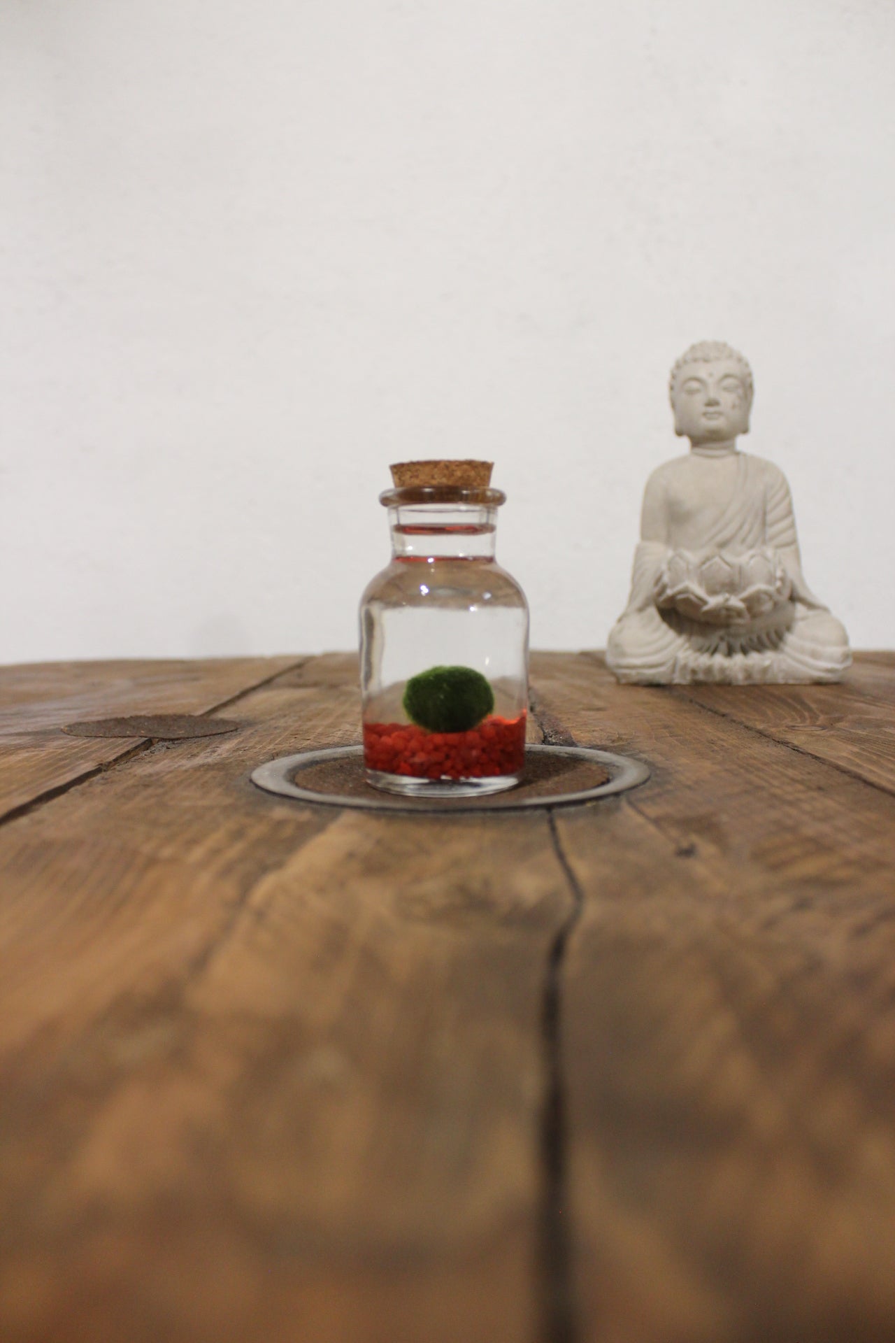 Baby marimo 60ml sabbia rossa