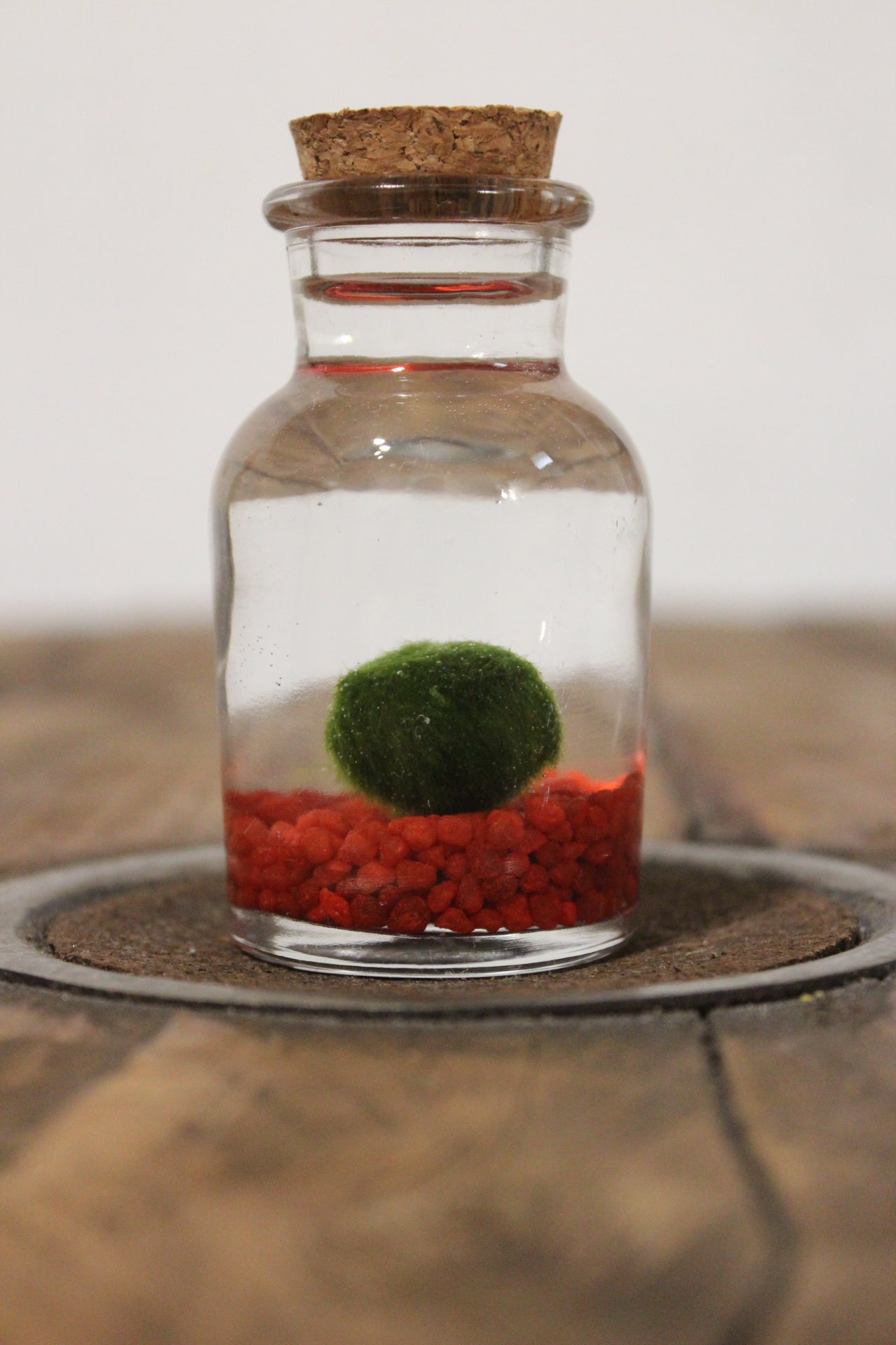 Baby marimo 60ml sabbia rossa