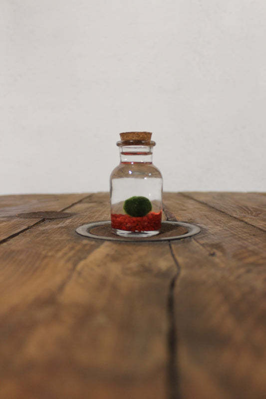 Baby marimo 60ml sabbia rossa