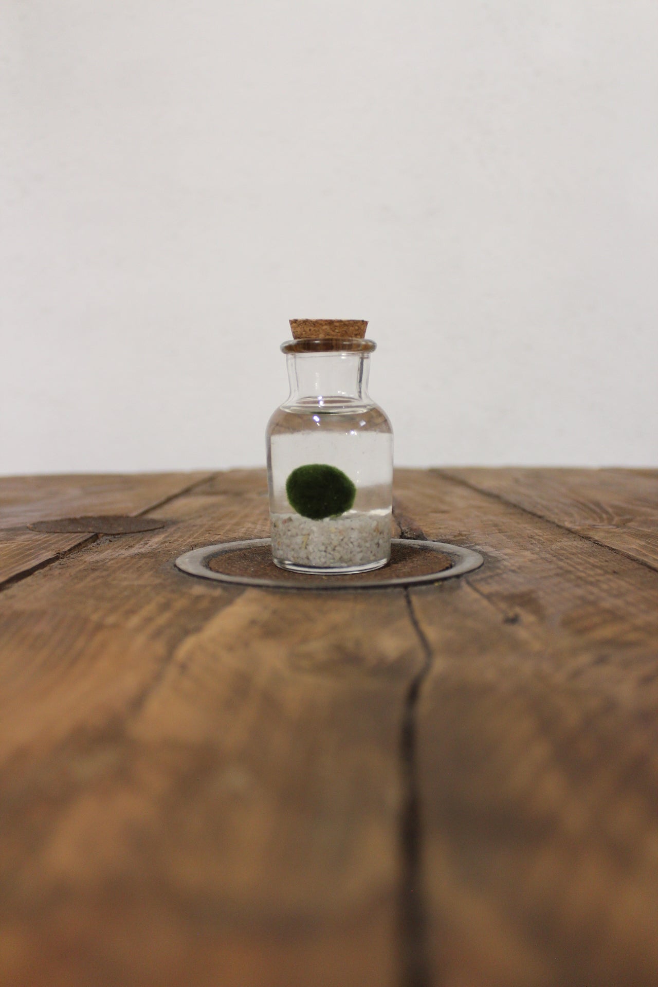 Baby marimo 60ml sabbia bianca