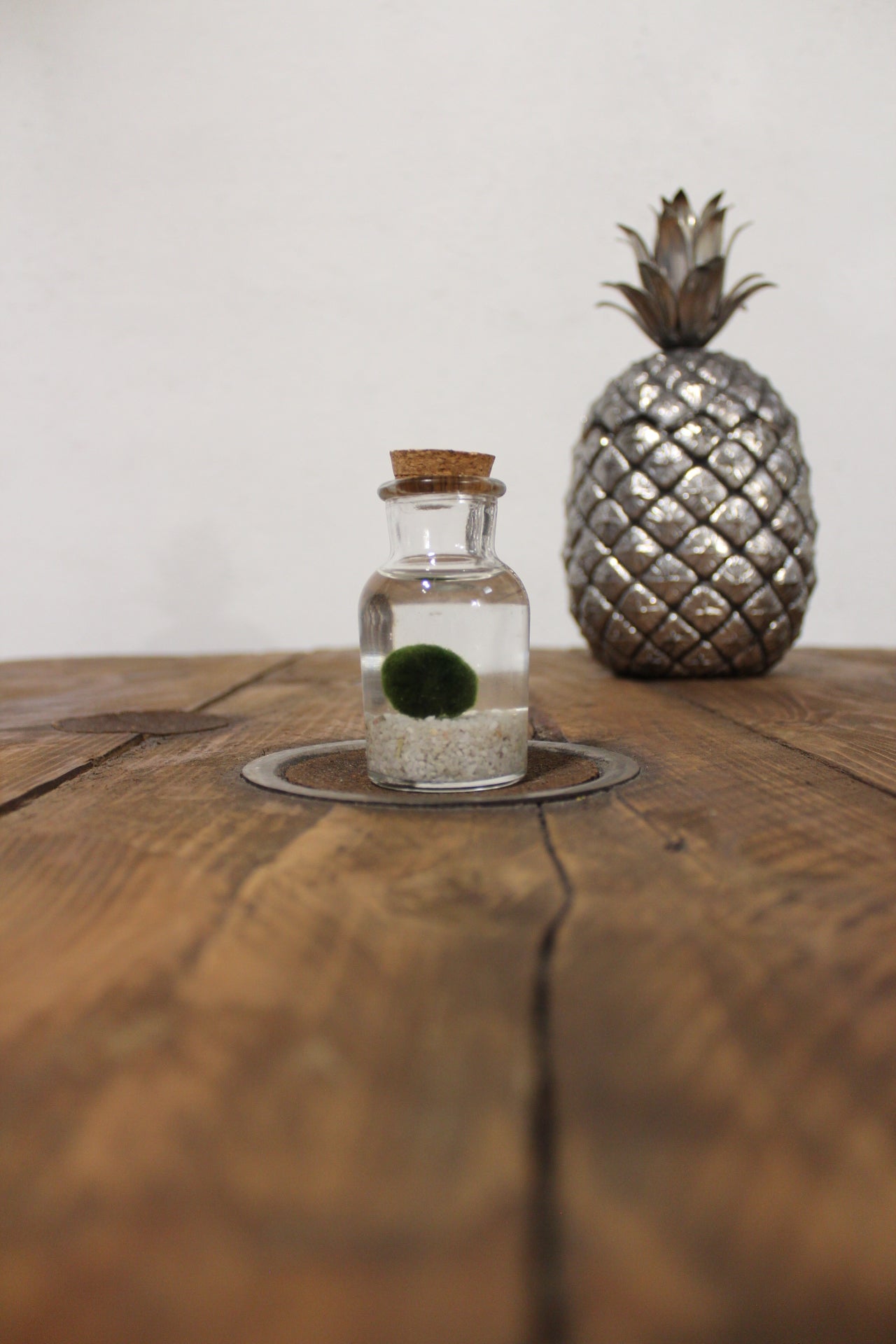 Baby marimo 60ml sabbia bianca