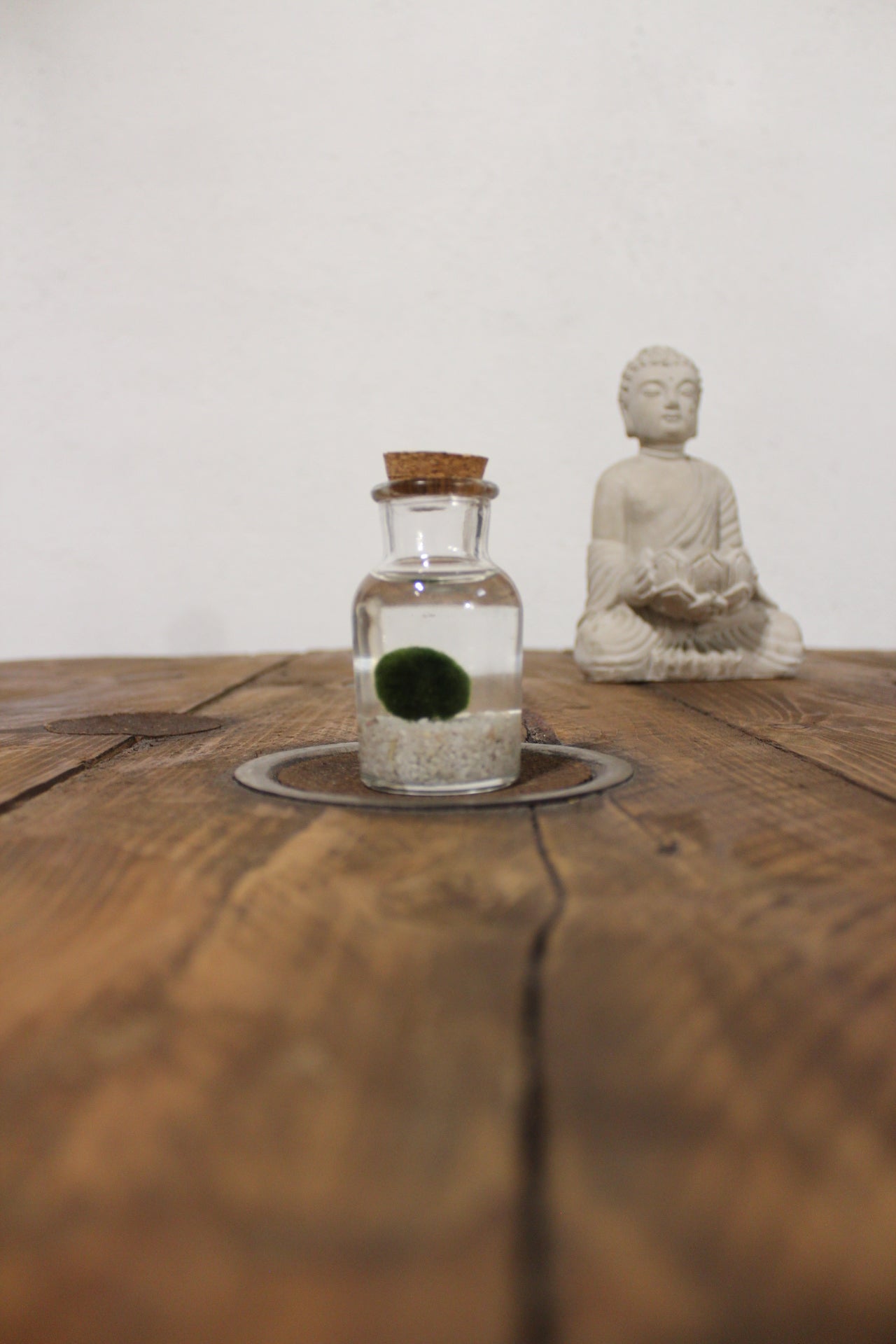 Baby marimo 60ml sabbia bianca