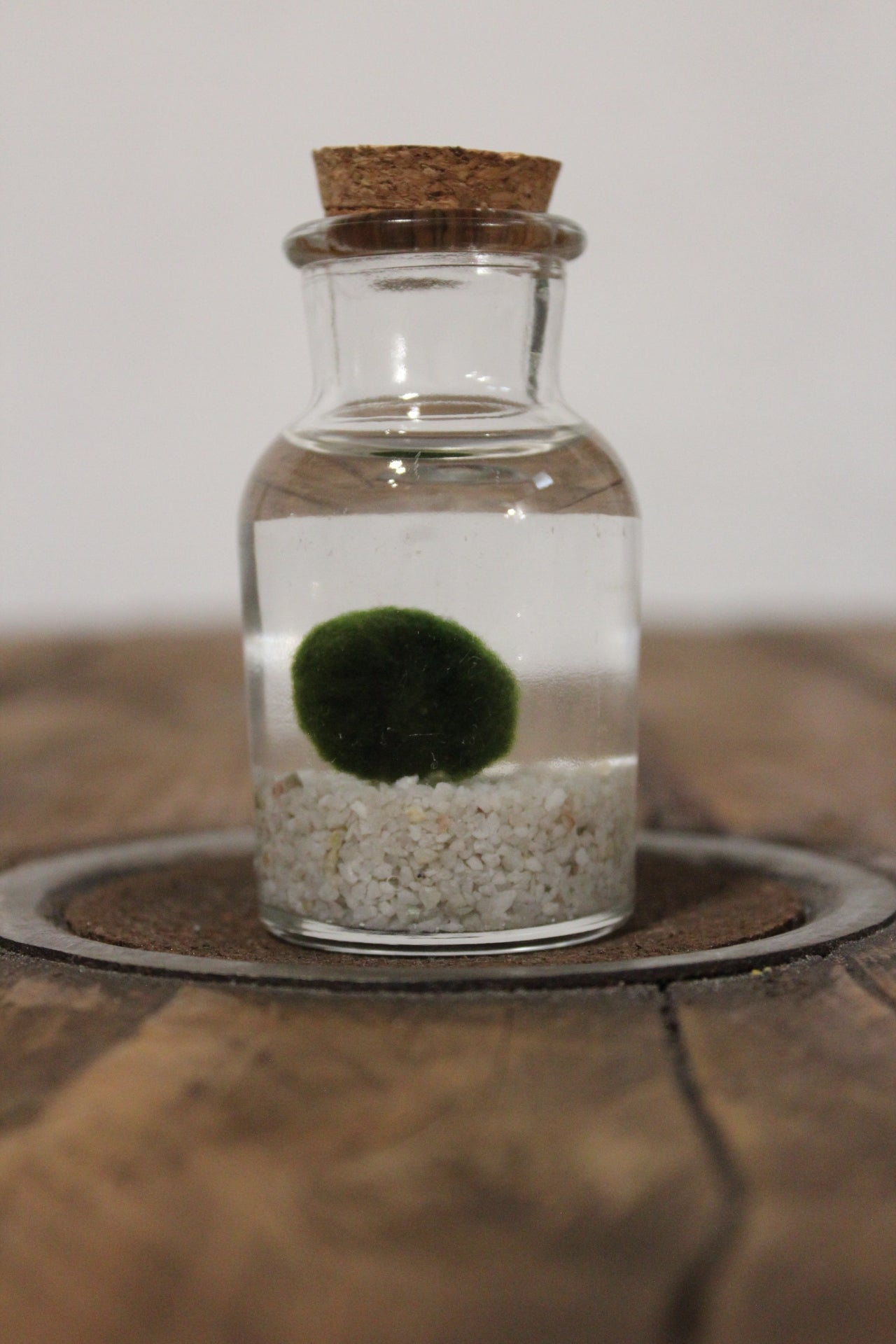 Baby marimo 60ml sabbia bianca