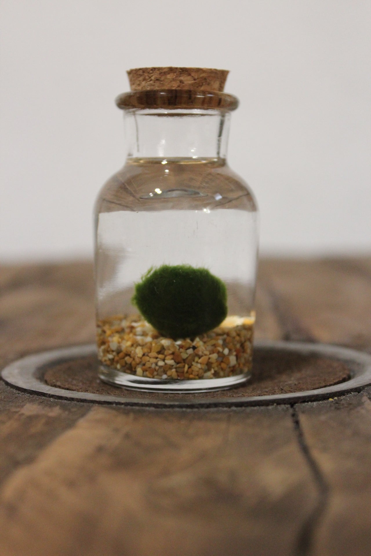 Baby marimo 60ml sabbia beige