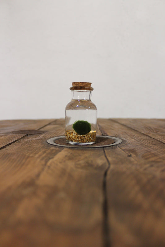 Baby marimo 60ml sabbia beige