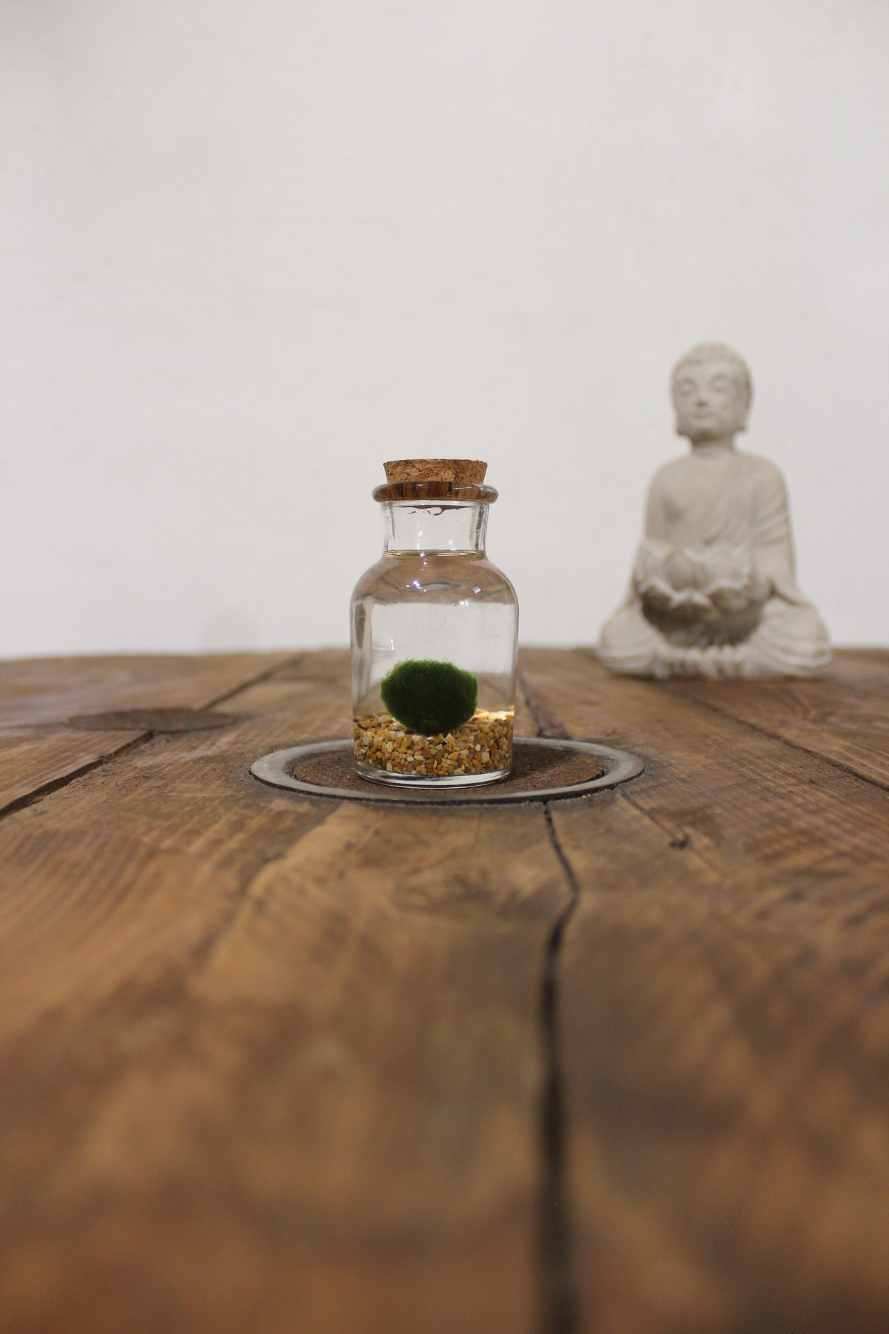 Baby marimo 60ml sabbia beige