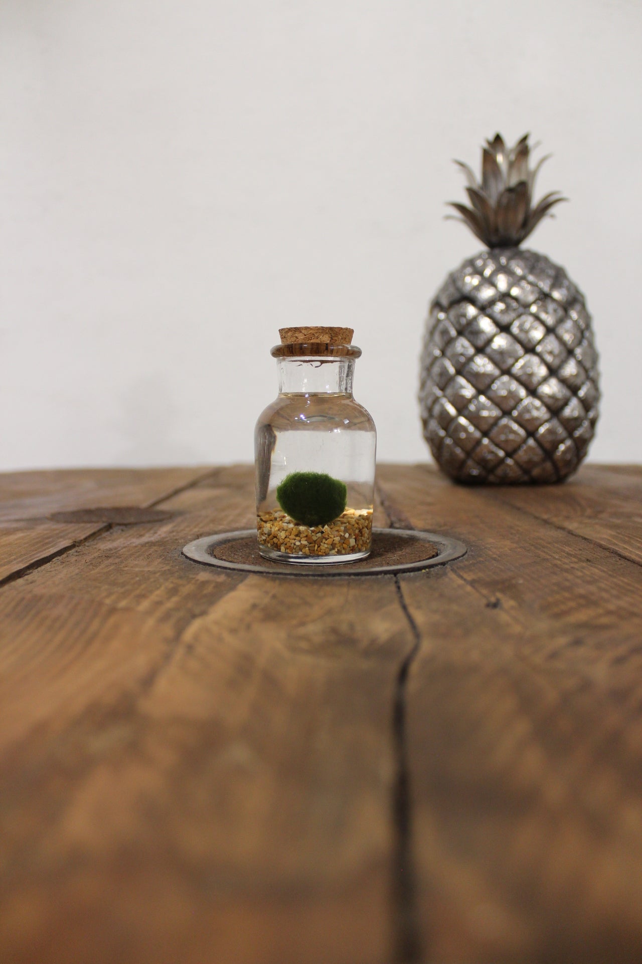 Baby marimo 60ml sabbia beige