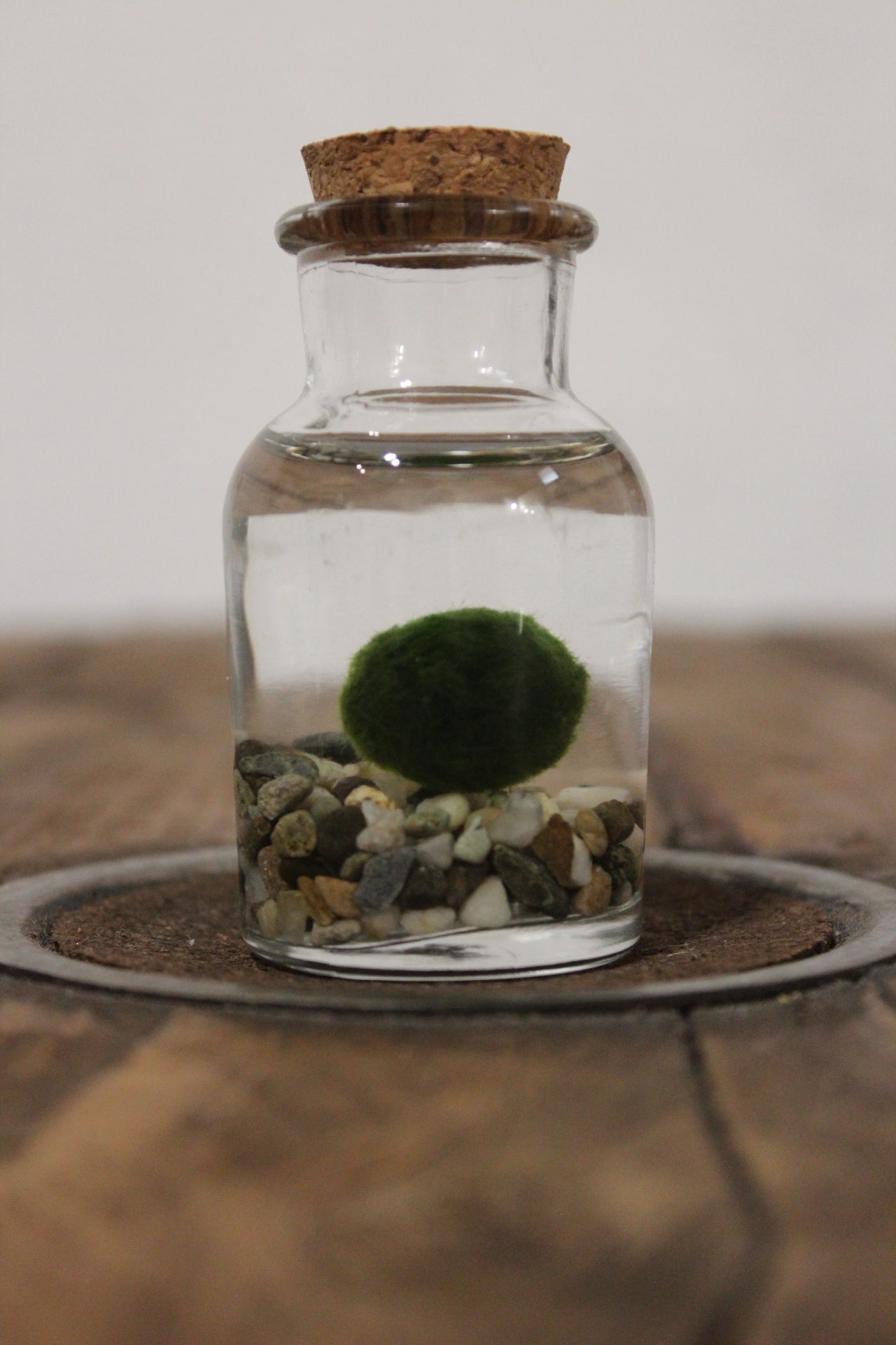 Baby marimo 60ml sabbia grigia