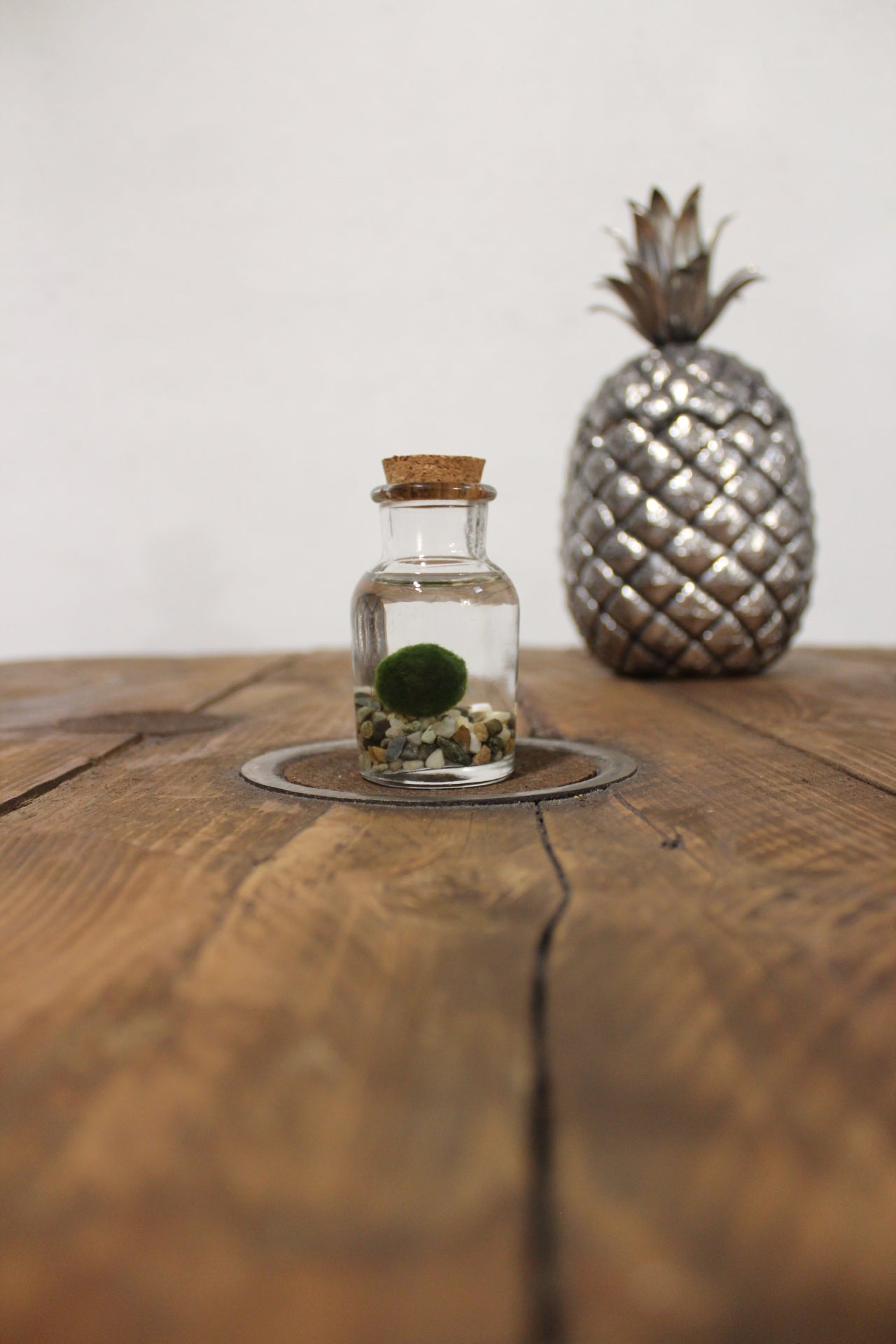 Baby marimo 60ml sabbia grigia