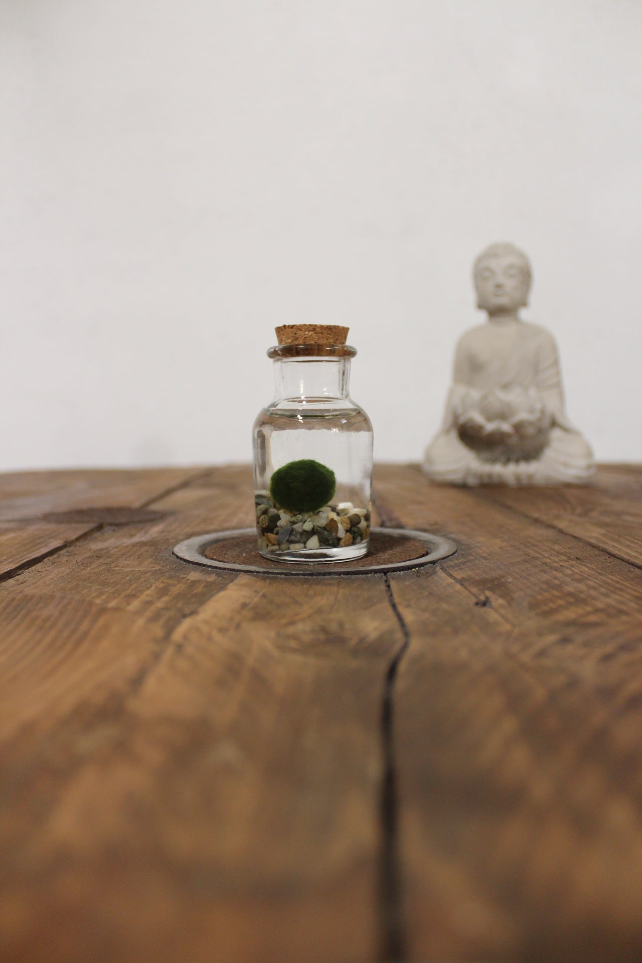 Baby marimo 60ml sabbia grigia