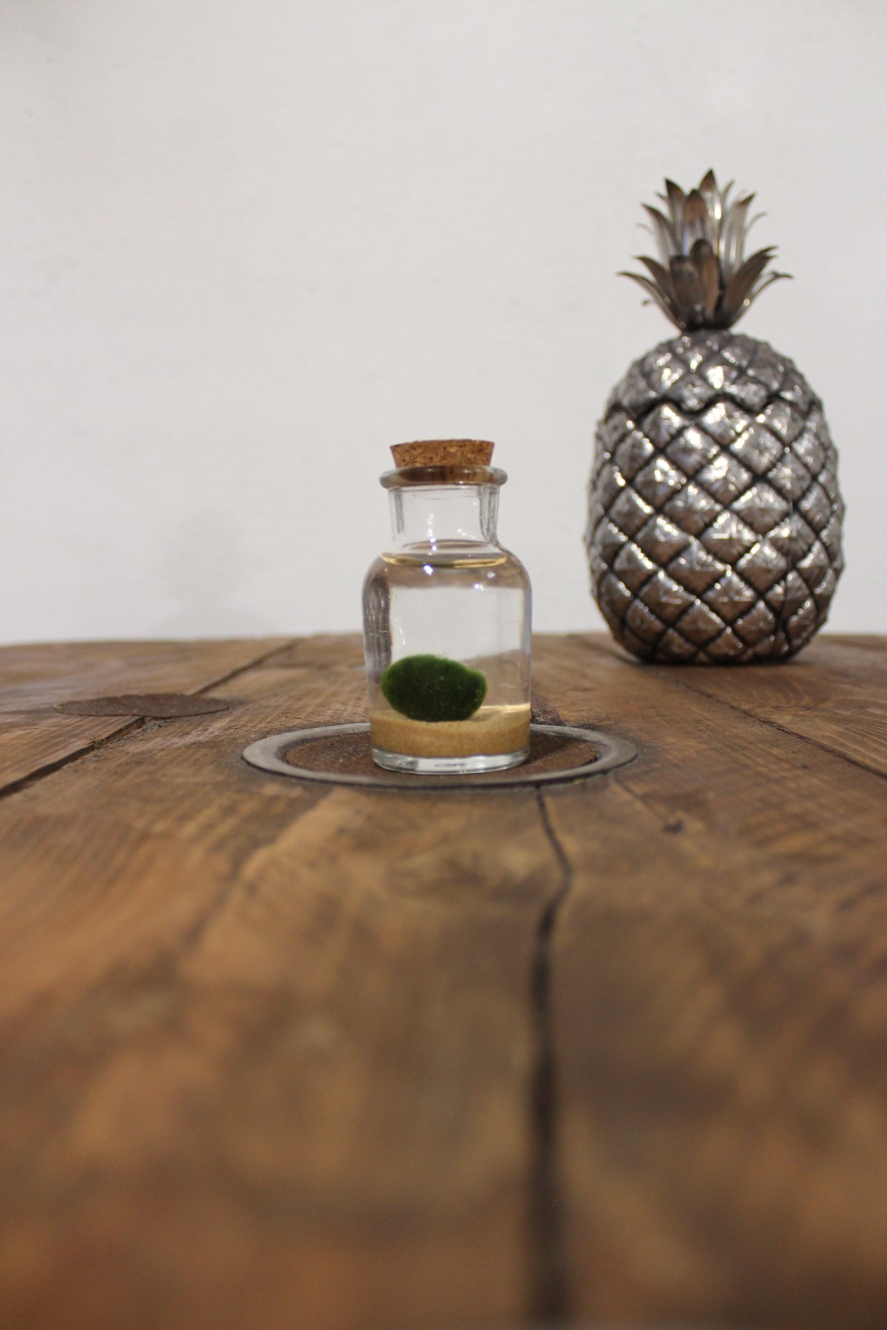 Baby marimo 60ml sabbia beige finissima