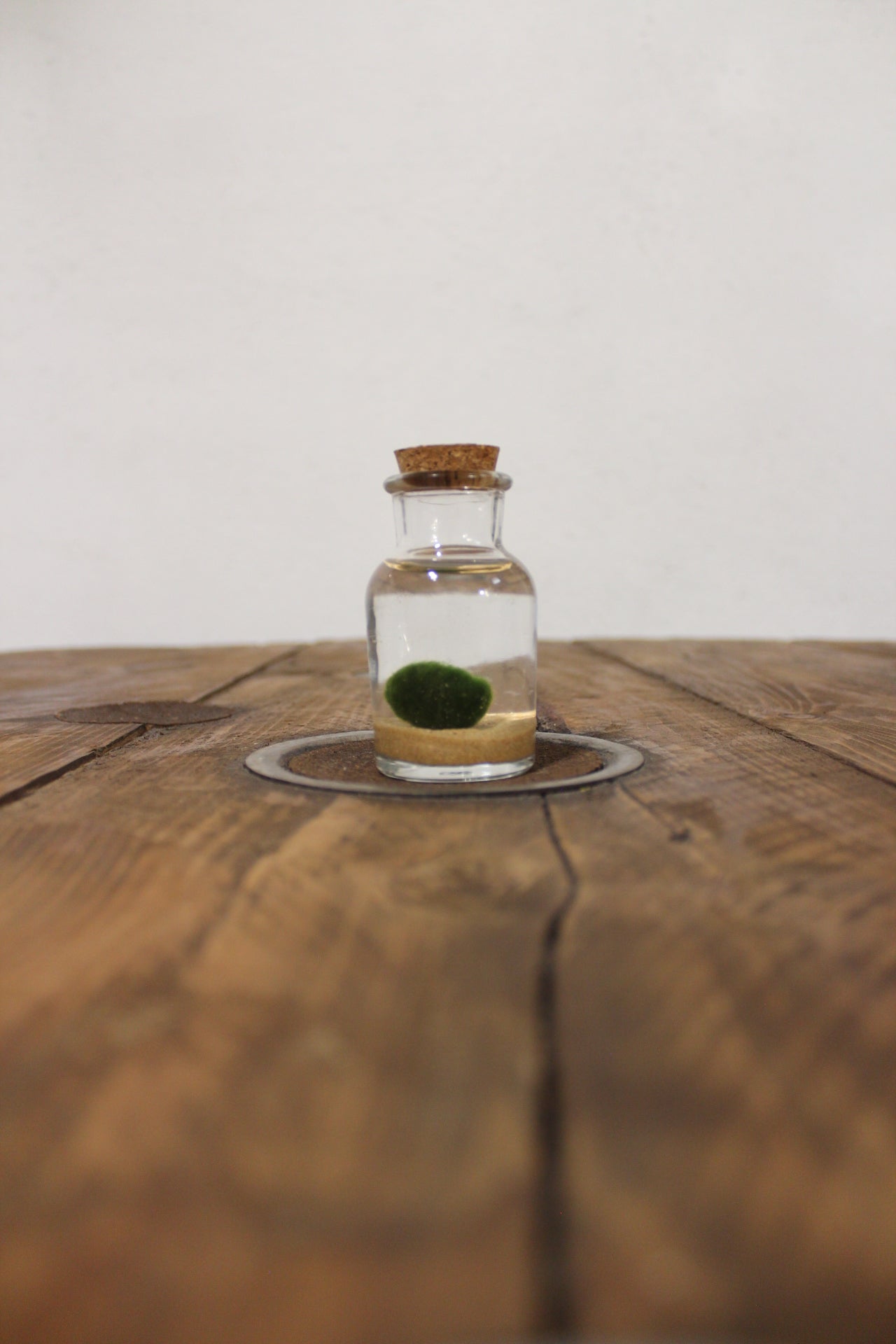 Baby marimo 60ml sabbia beige finissima