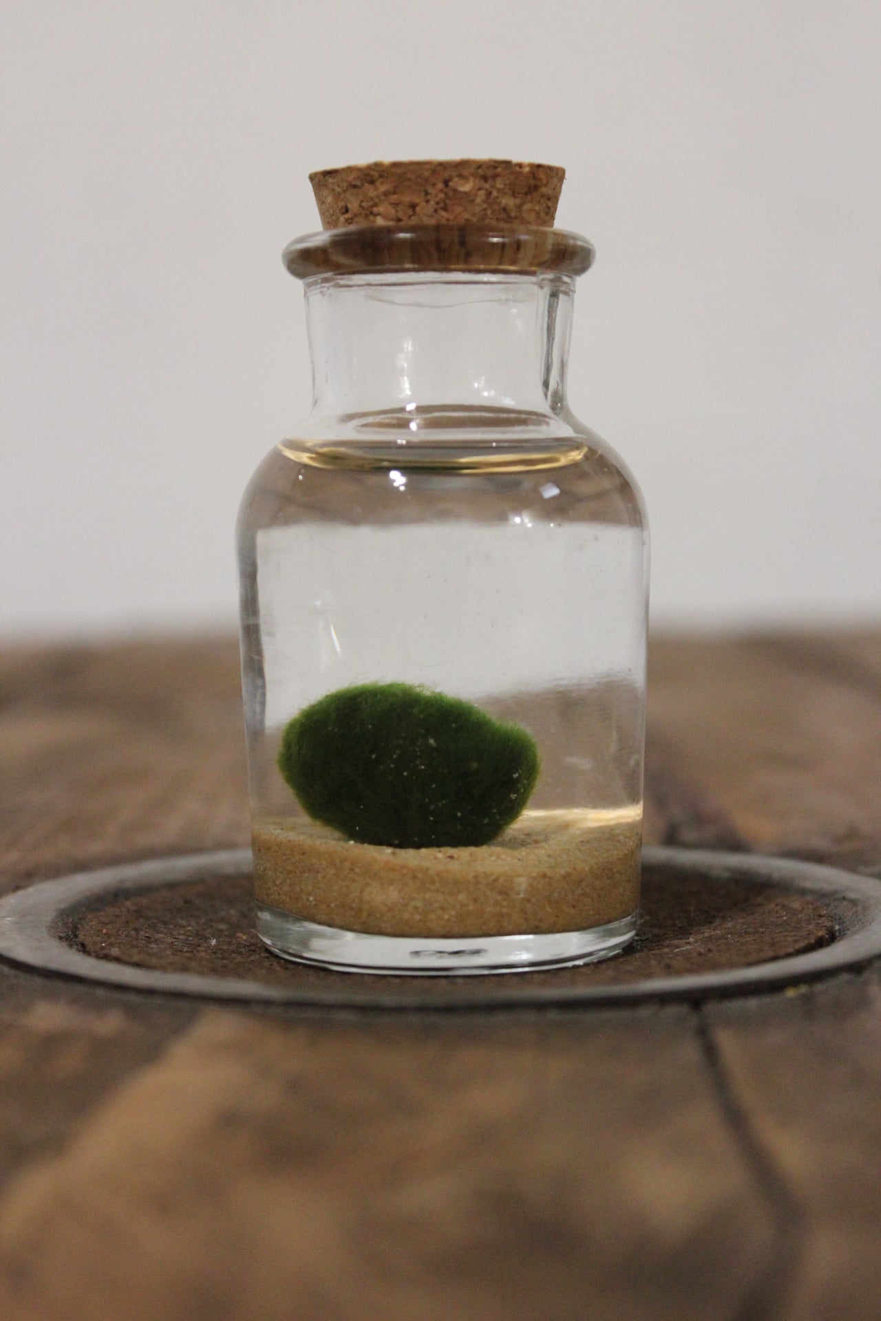 Baby marimo 60ml sabbia beige finissima