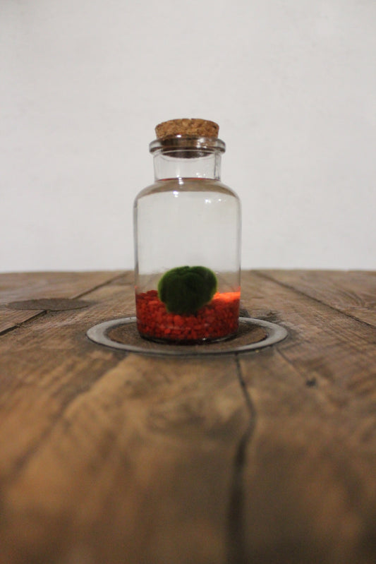 Marimo 150ml sabbia rossa