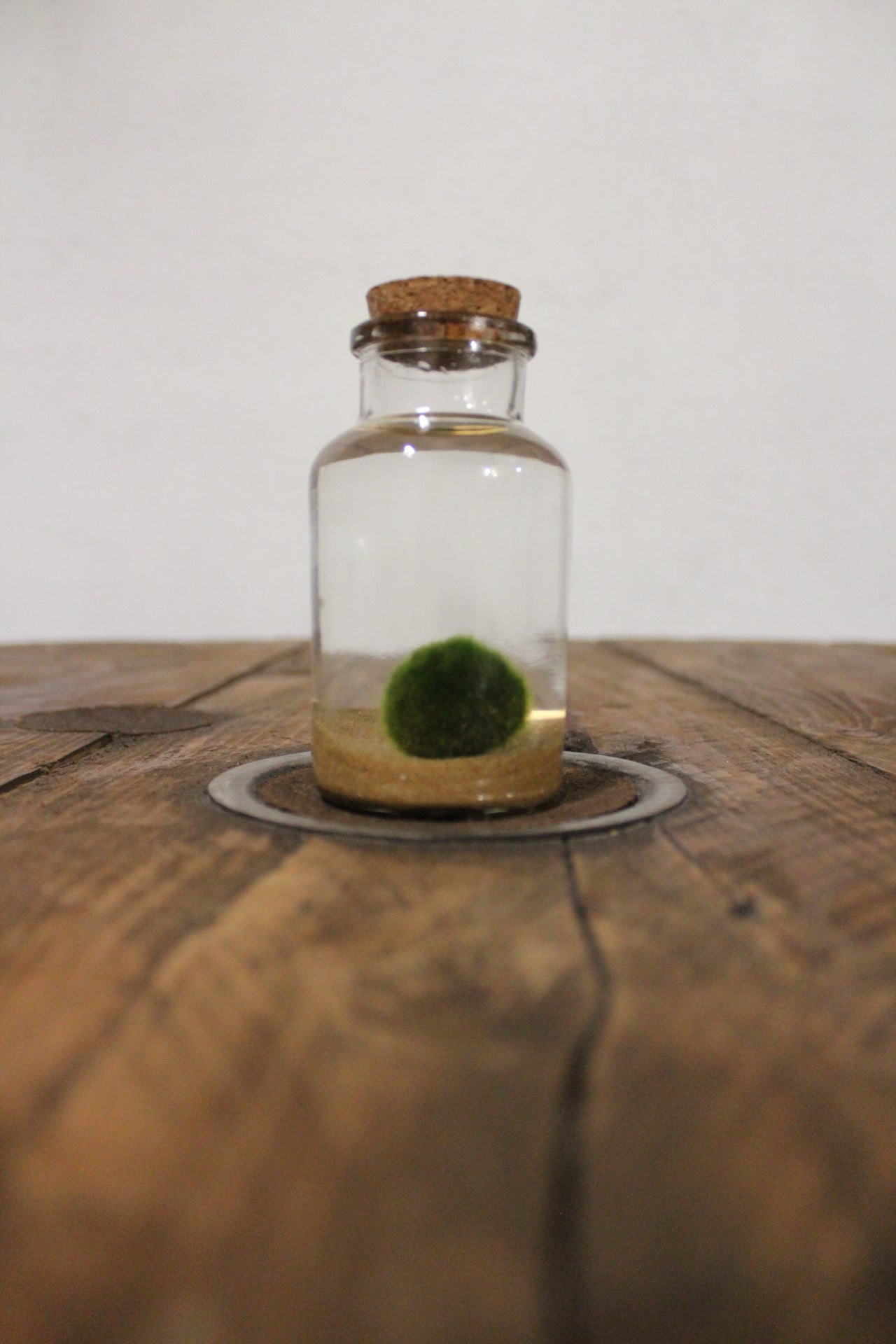 Marimo 150ml sabbia beige finissima