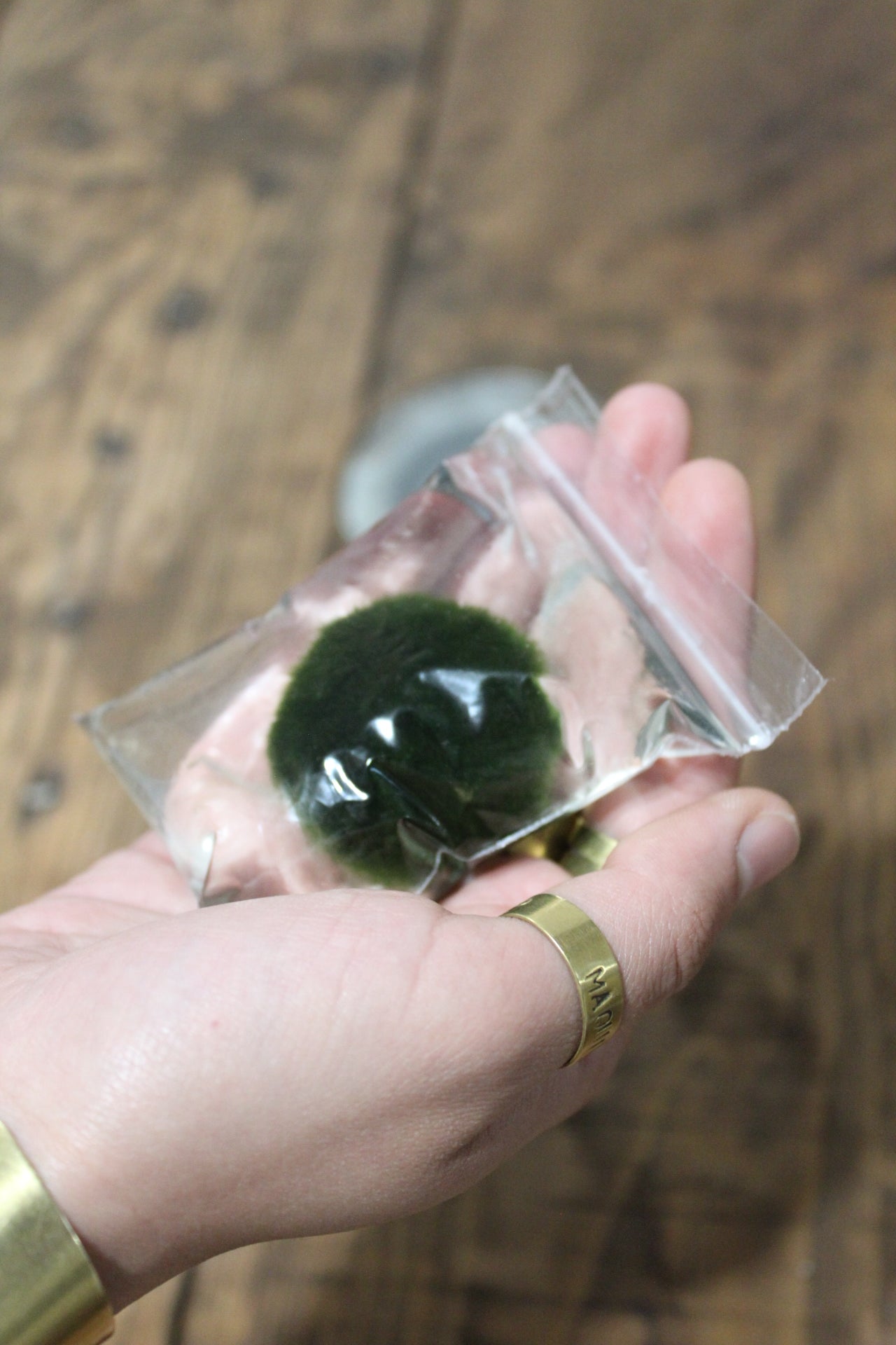 Marimo